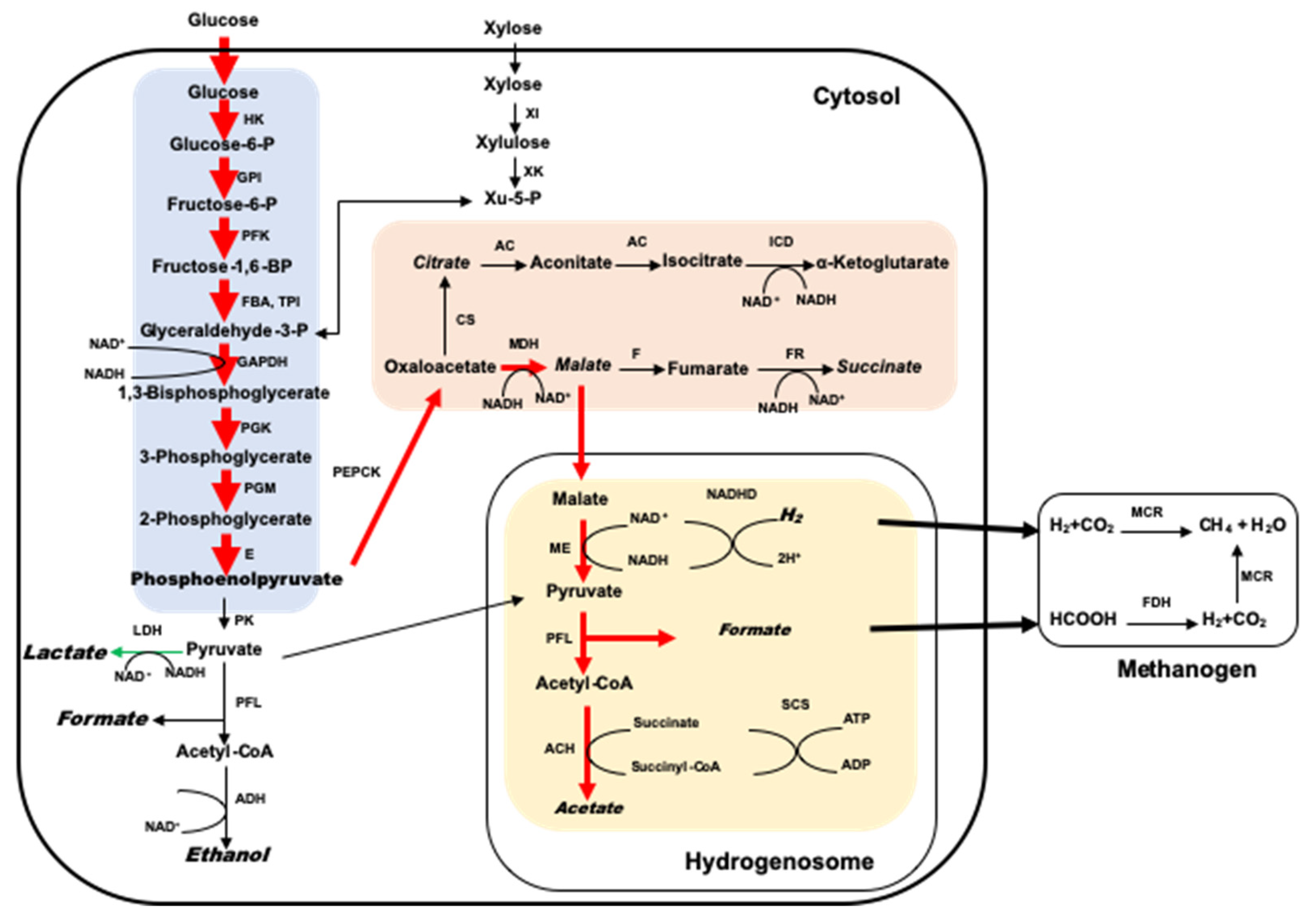 Microorganisms 09 00190 g003