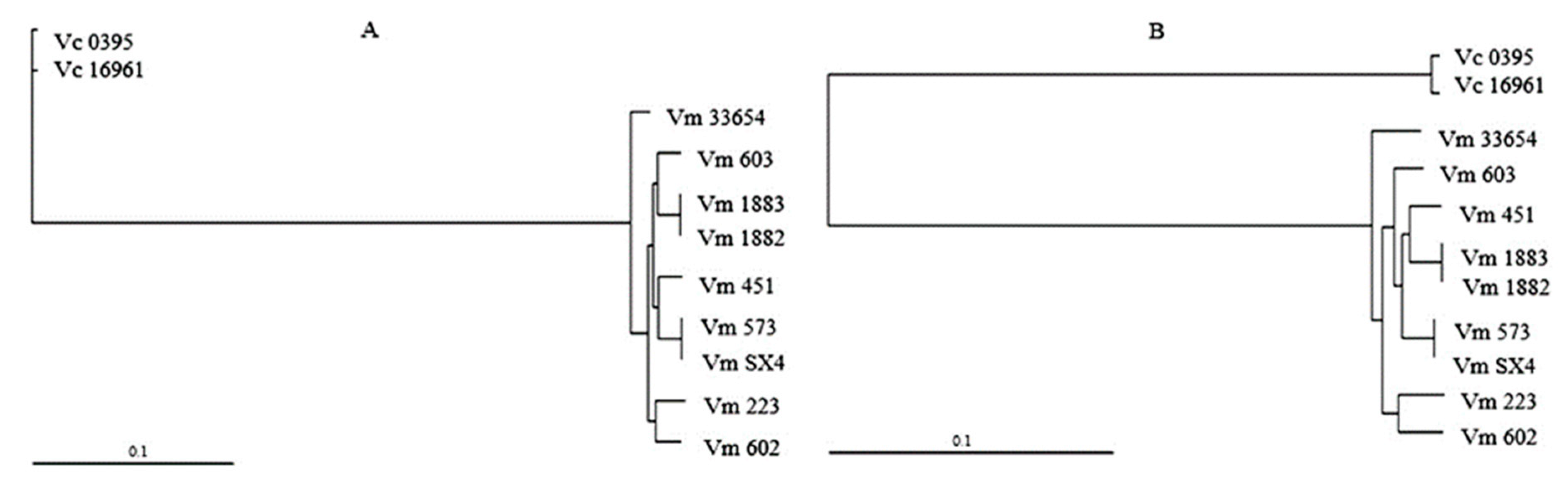 Microorganisms 09 00191 g002 Microorganisms 09 00191 g002