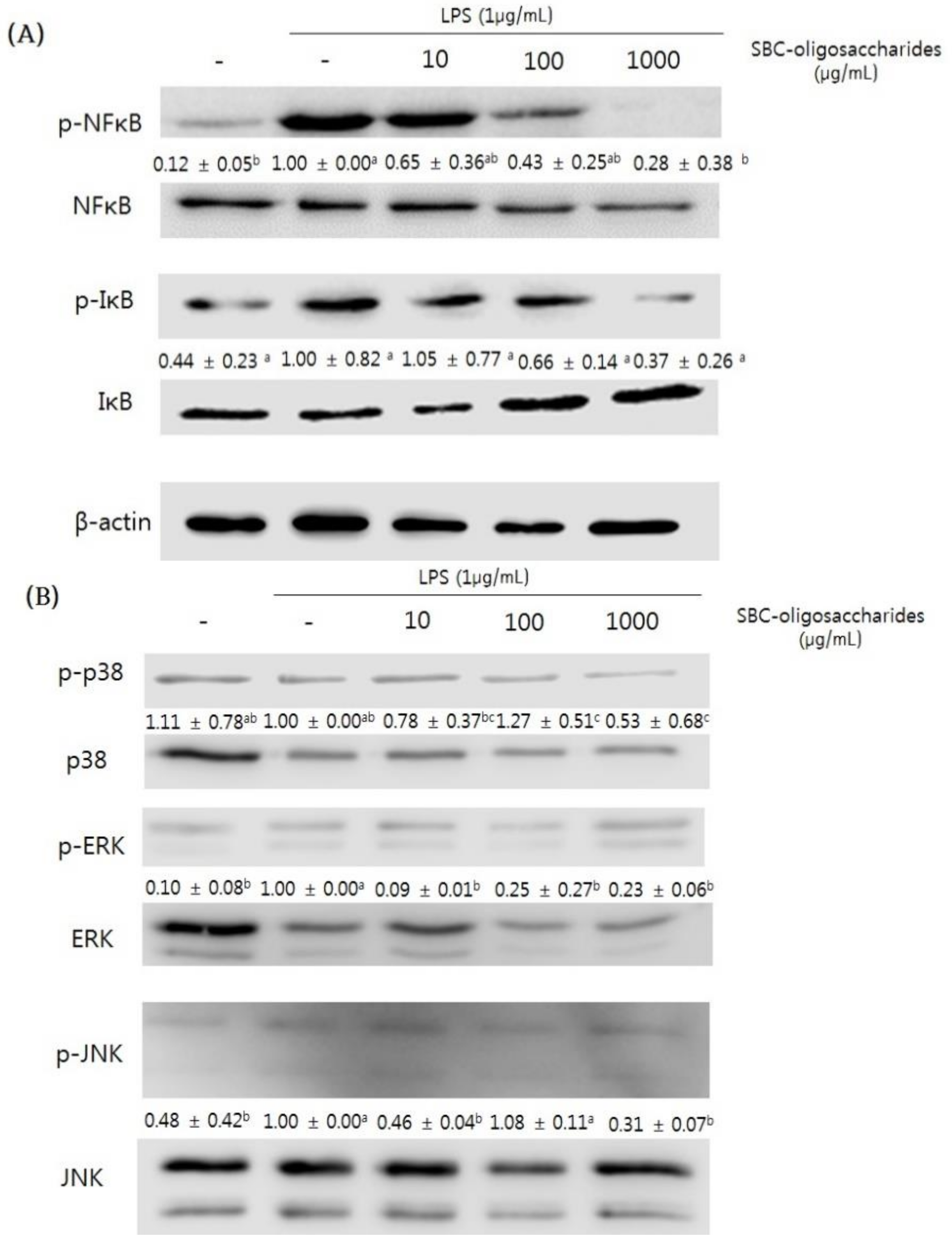 Microorganisms 09 00200 g008