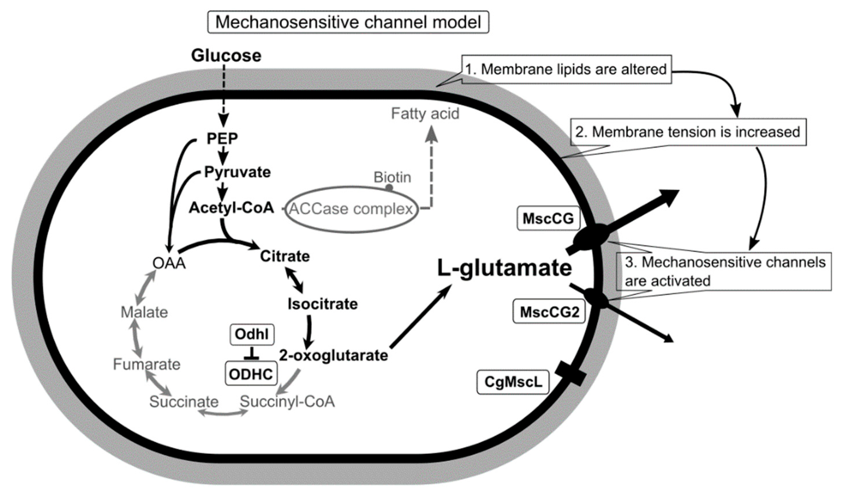 Microorganisms 09 00201 g001