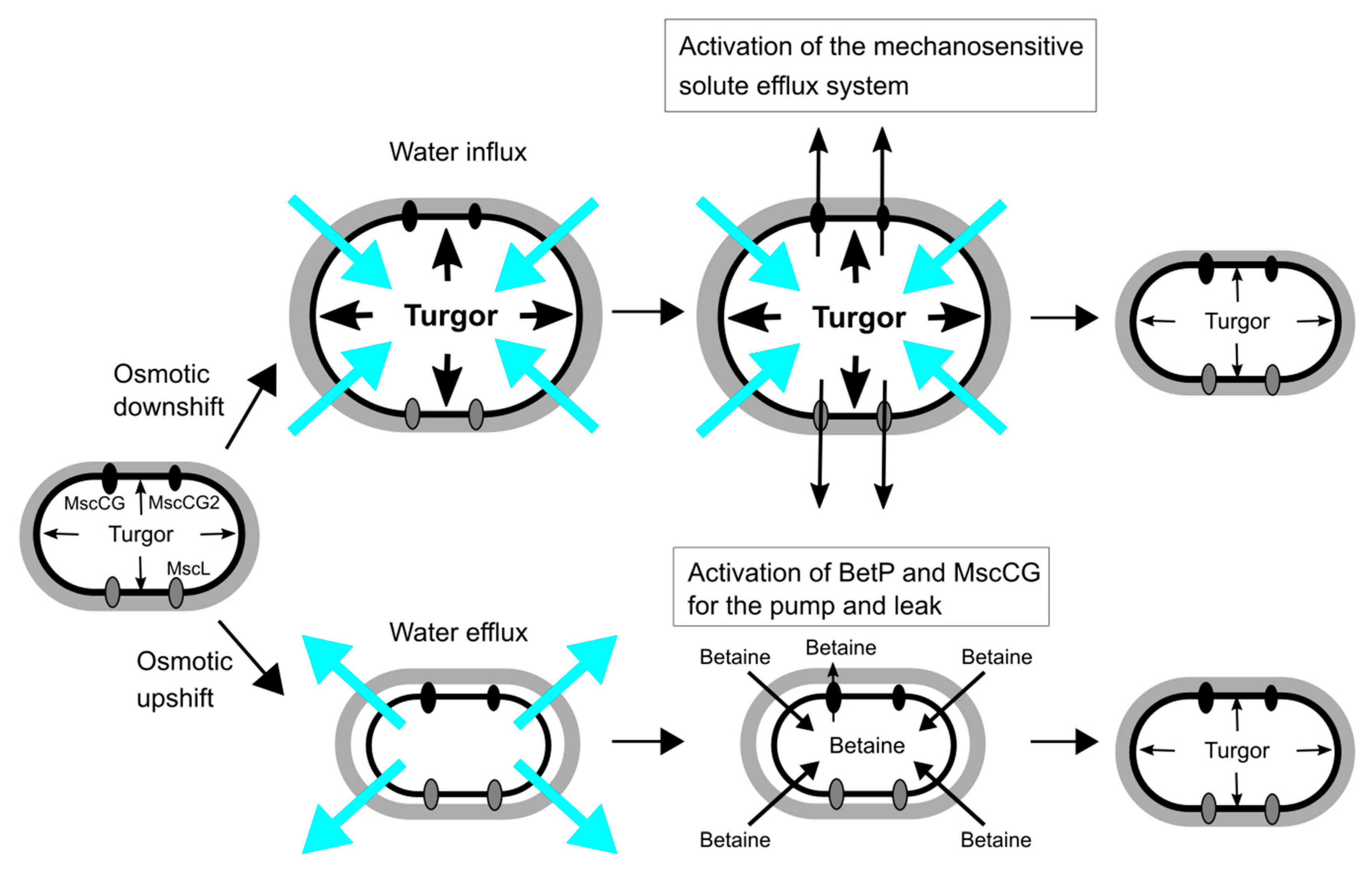 Microorganisms 09 00201 g002