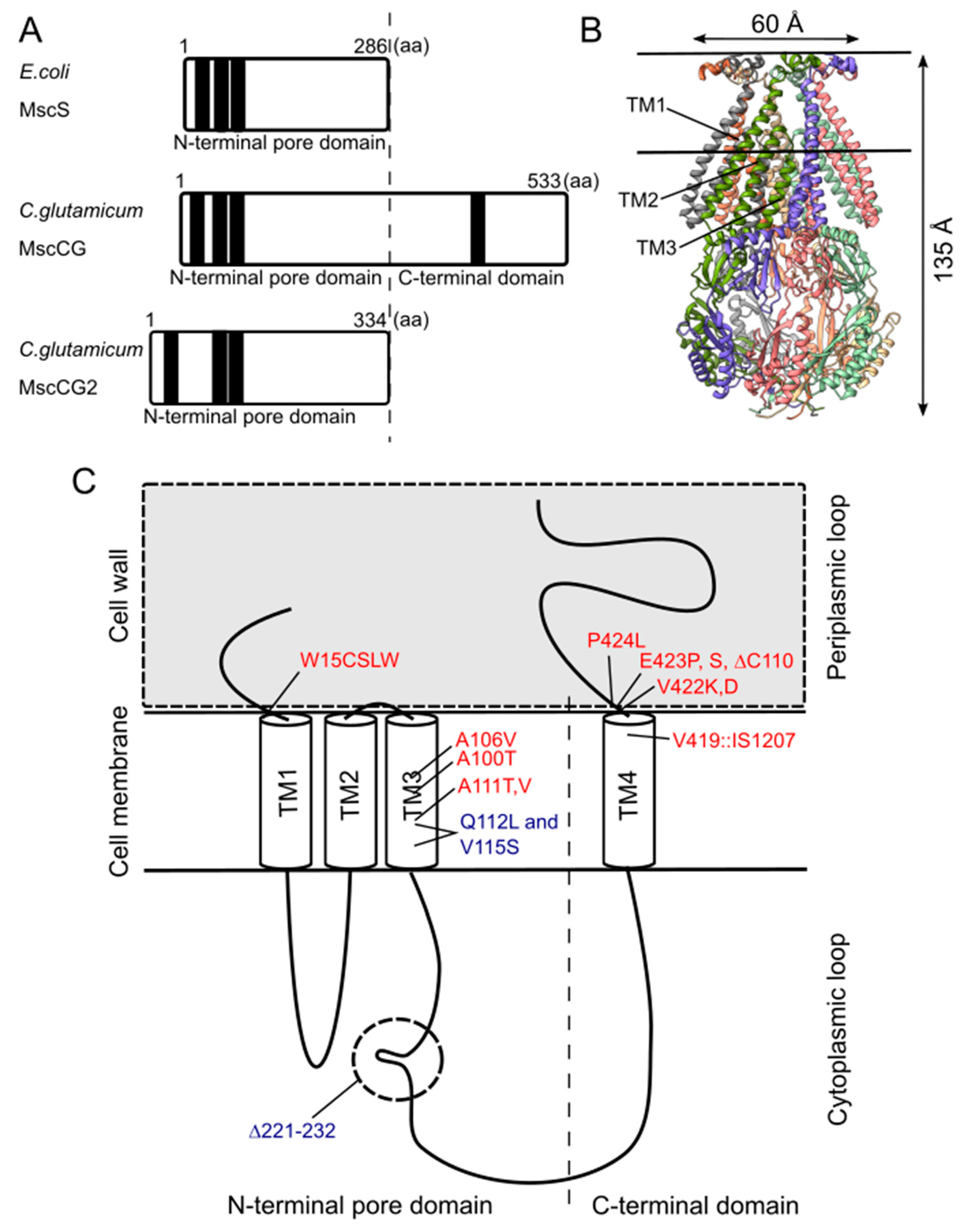 Microorganisms 09 00201 g003