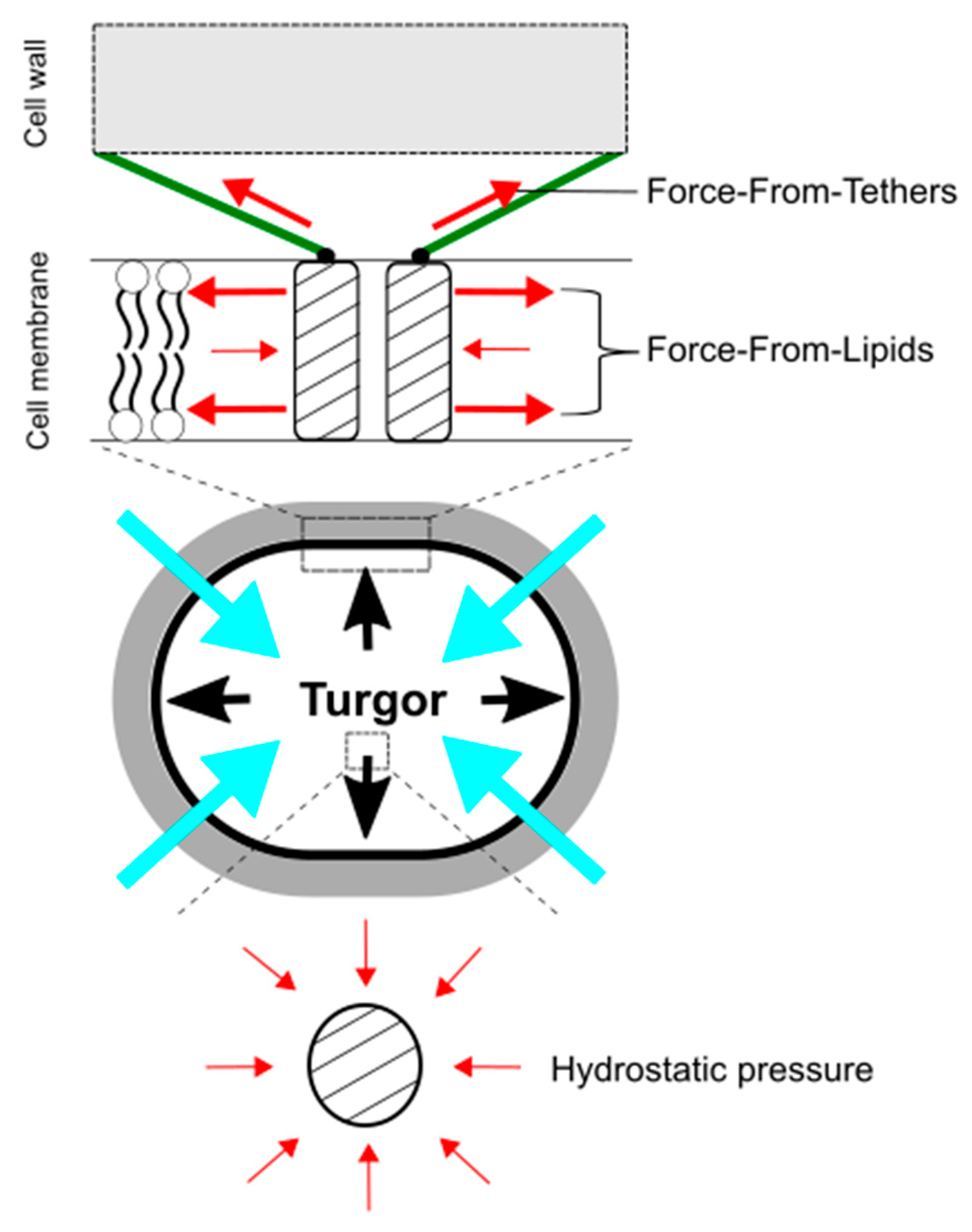 Microorganisms 09 00201 g004