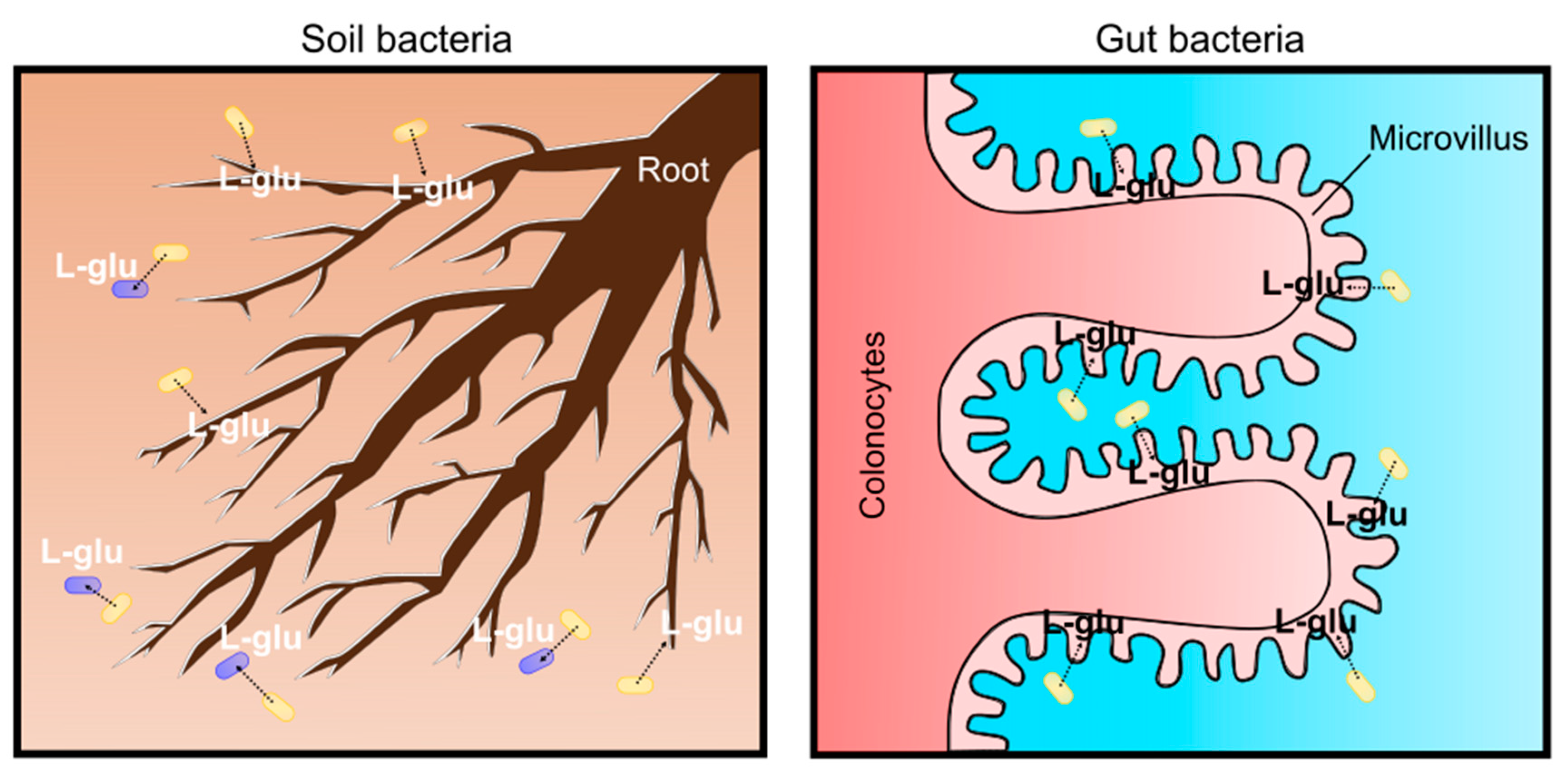 Microorganisms 09 00201 g006