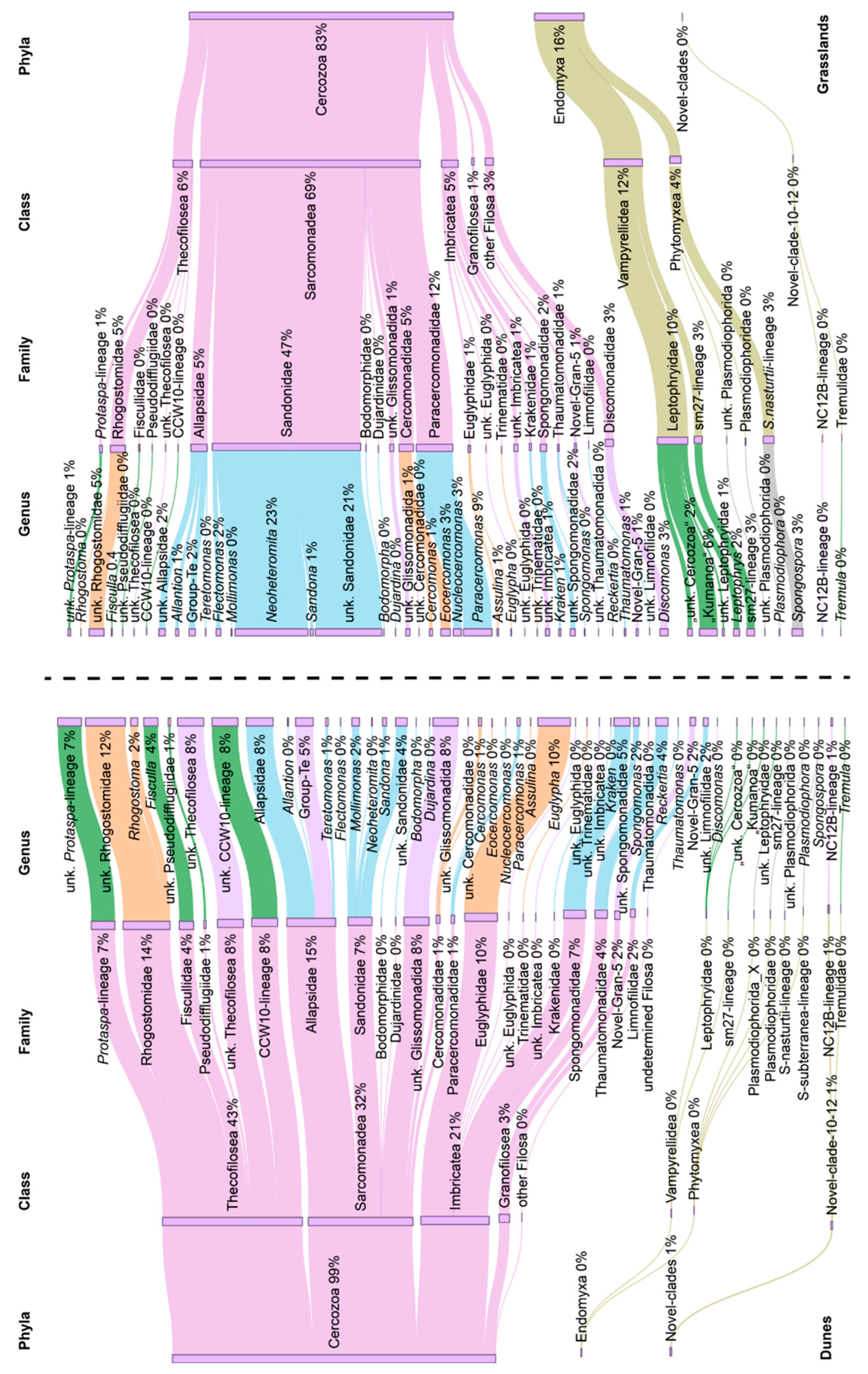 Microorganisms 09 00205 g001