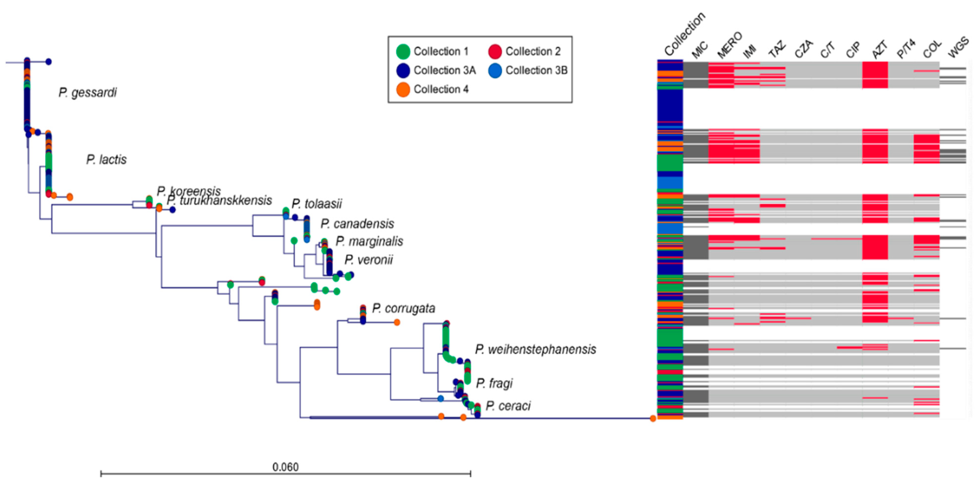 Microorganisms 09 00207 g001