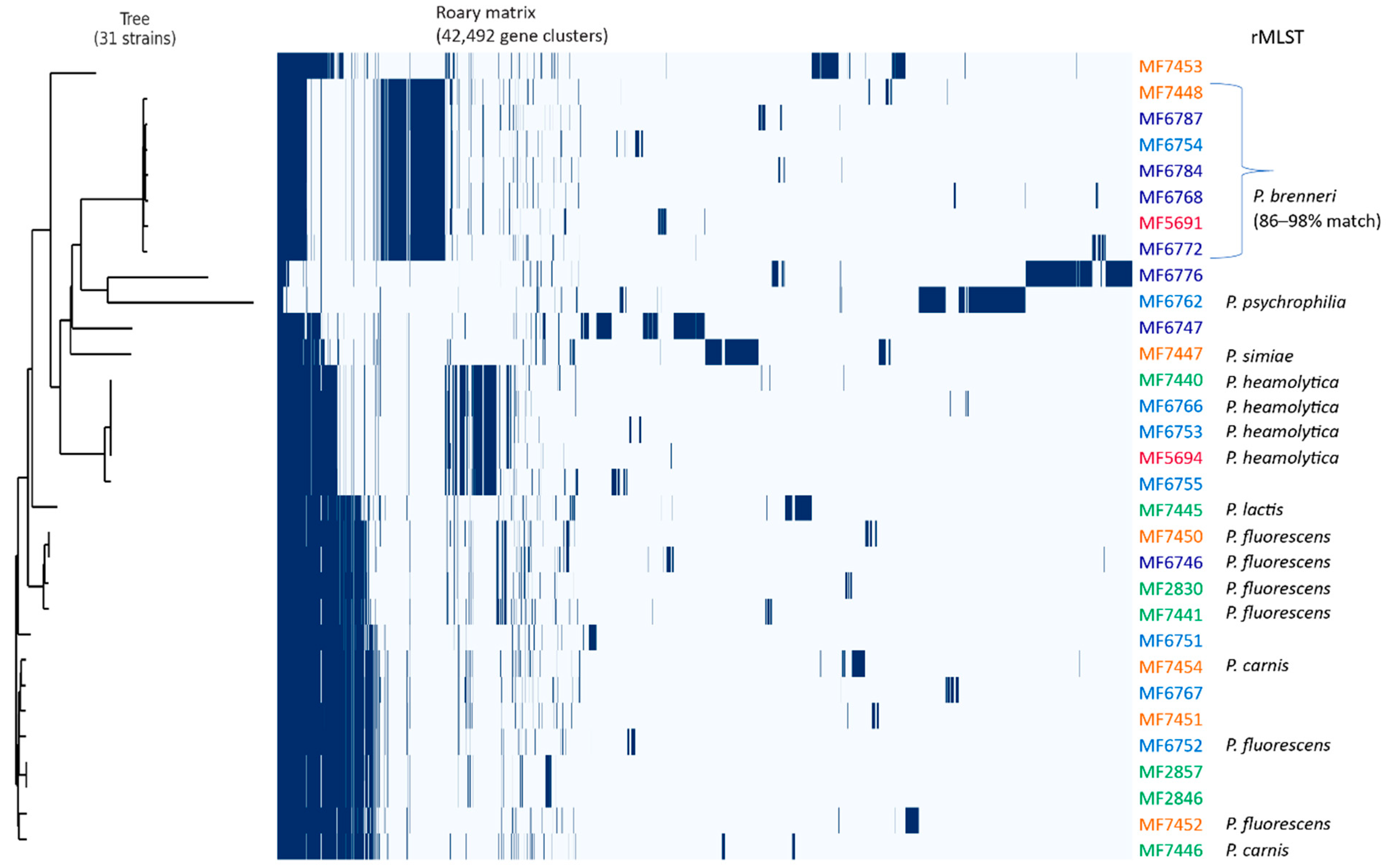 Microorganisms 09 00207 g003