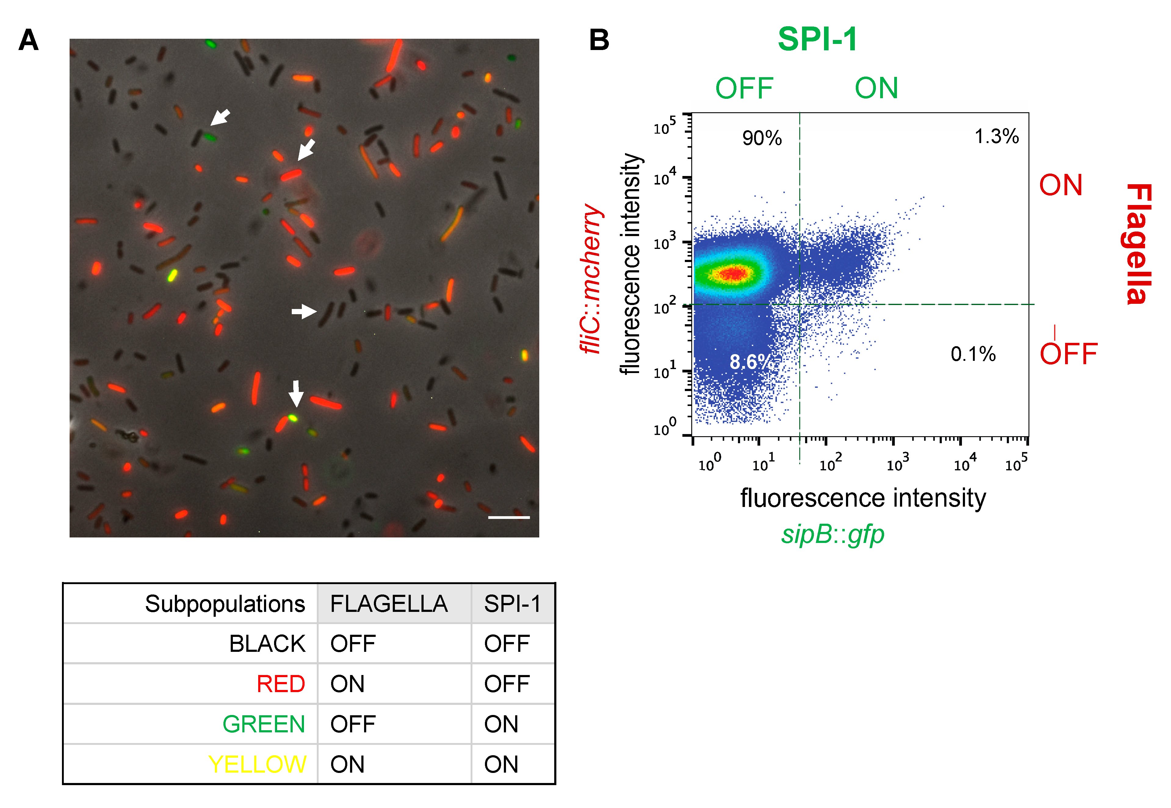 Microorganisms 09 00210 g001