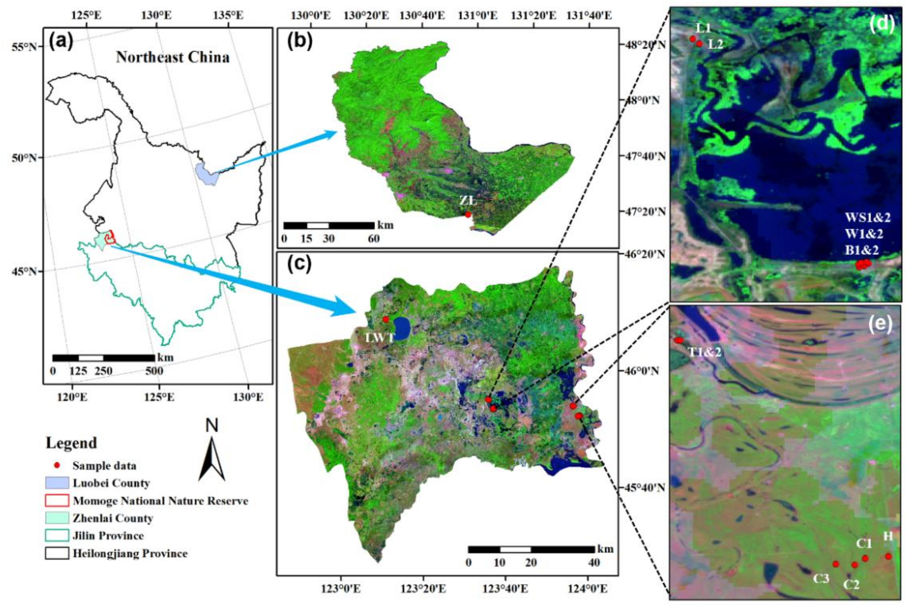 Microorganisms 09 00211 g001