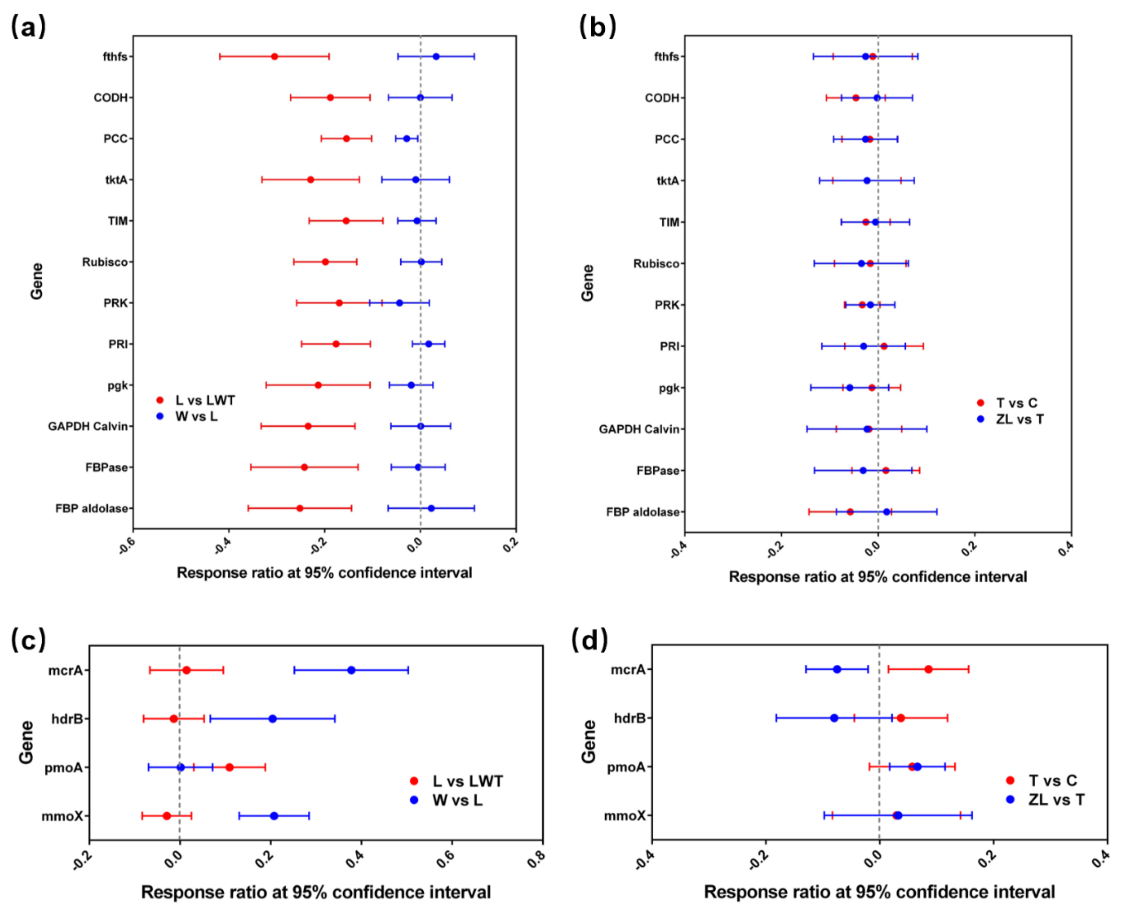 Microorganisms 09 00211 g010
