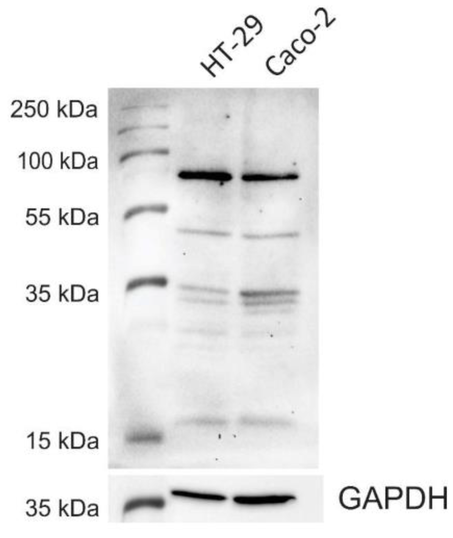 Microorganisms 09 00223 g001 Microorganisms 09 00223 g001
