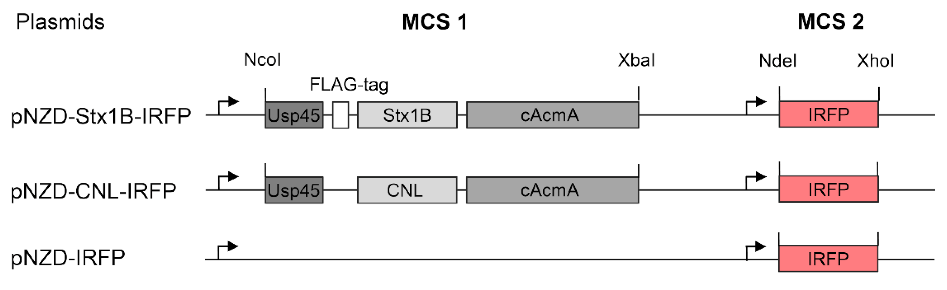 Microorganisms 09 00223 g004 Microorganisms 09 00223 g004