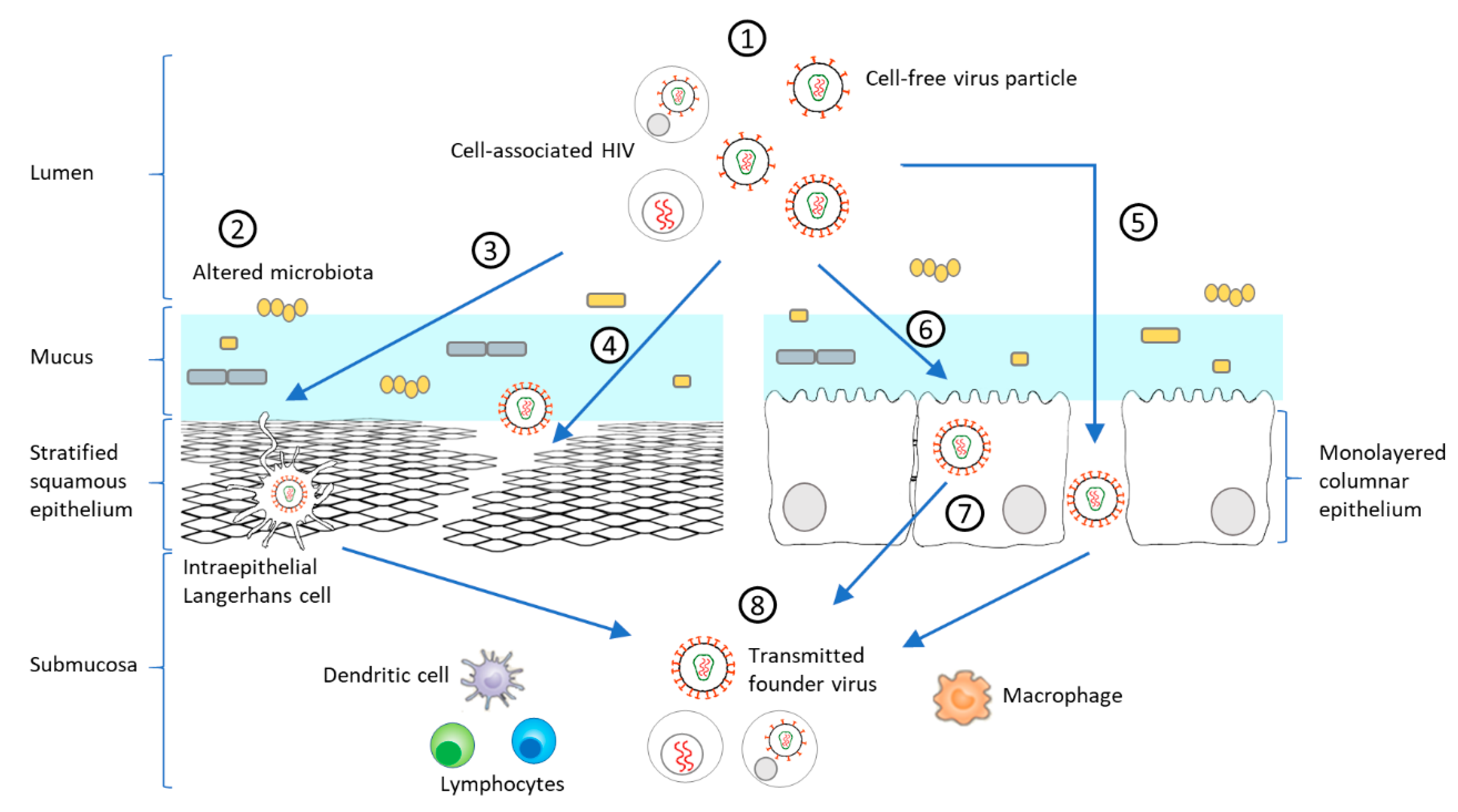 Microorganisms 09 00228 g002