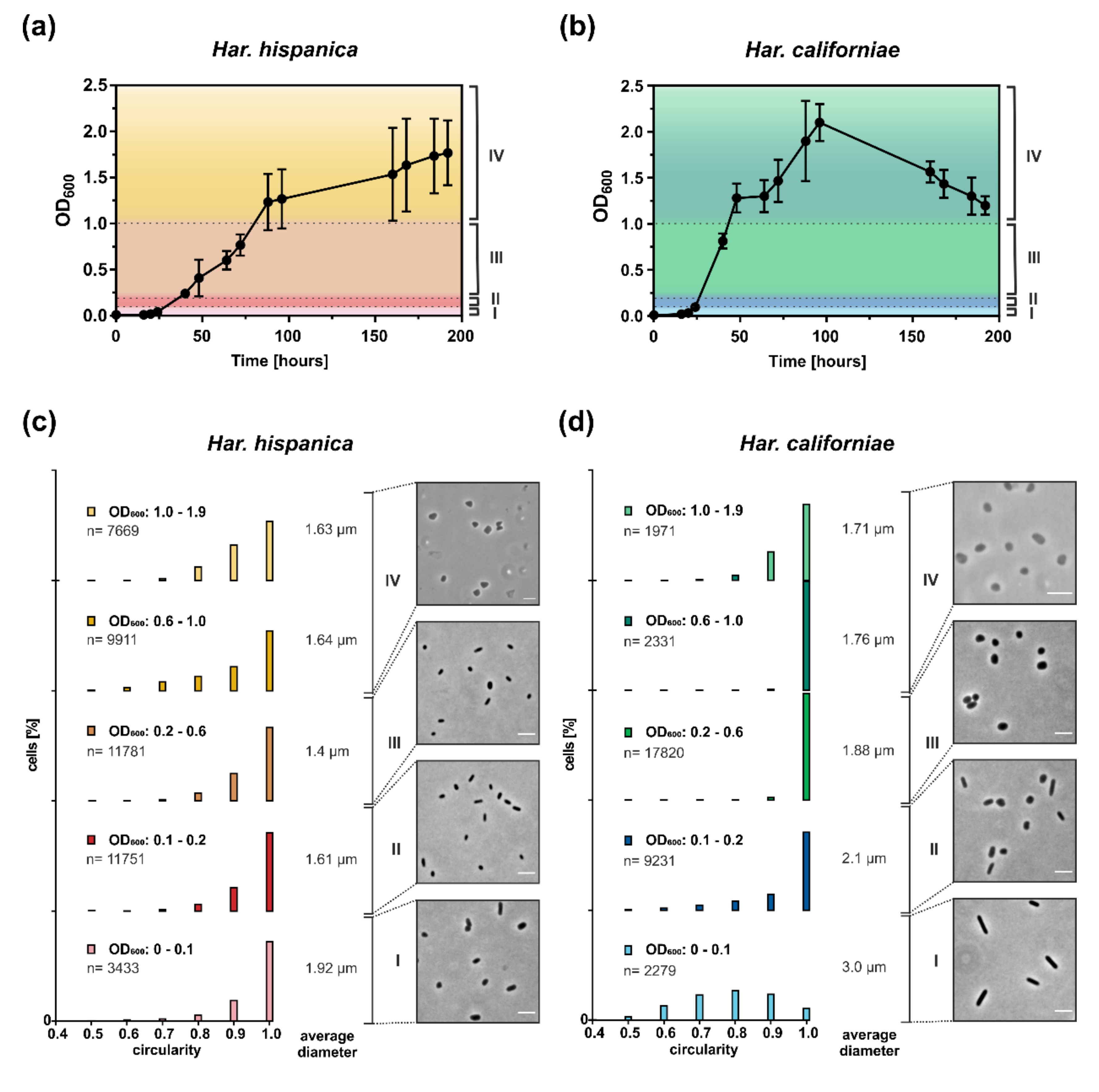 Microorganisms 09 00231 g001
