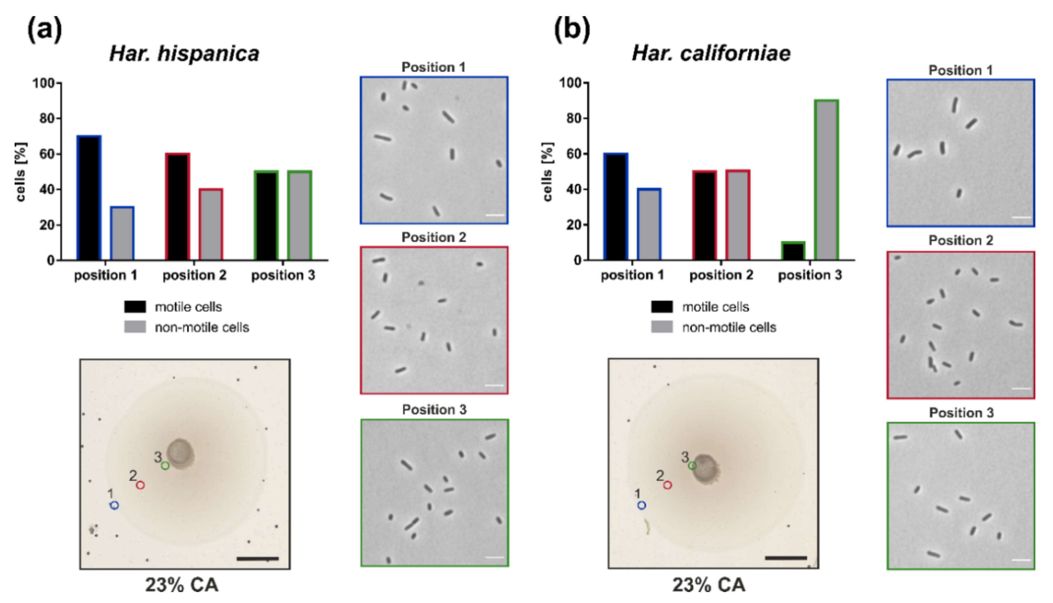 Microorganisms 09 00231 g004