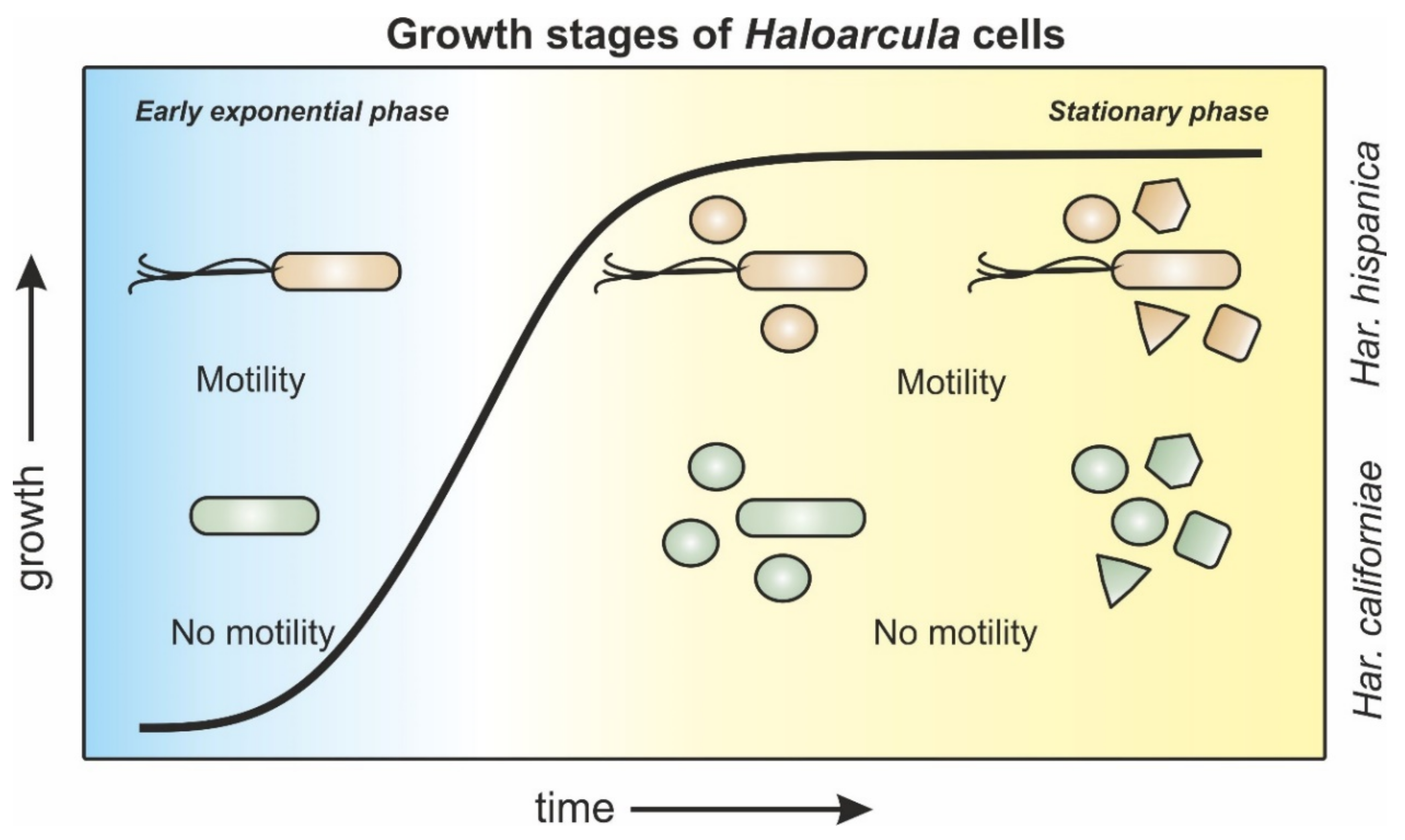 Microorganisms 09 00231 g006