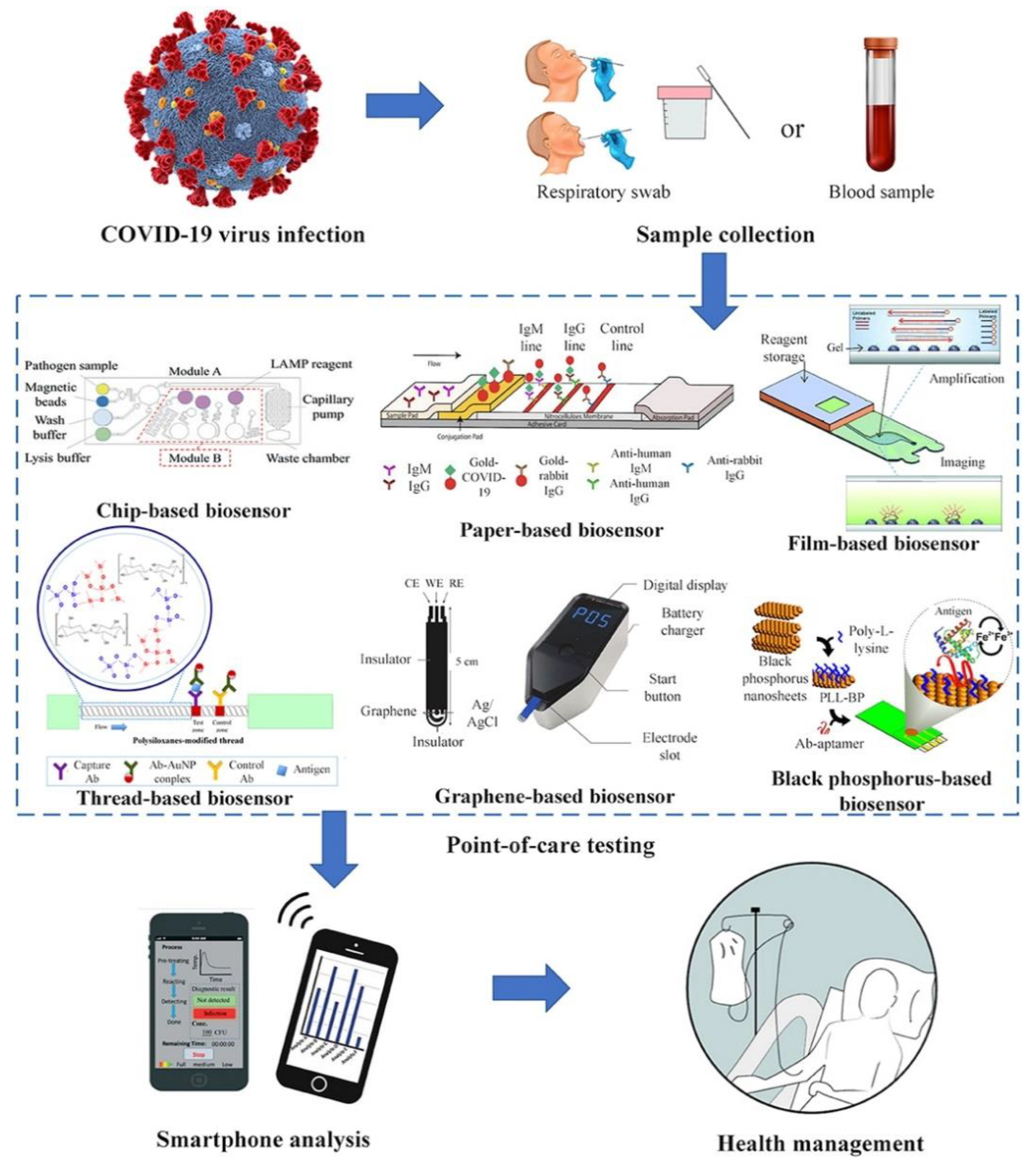 Microorganisms 09 00232 g001