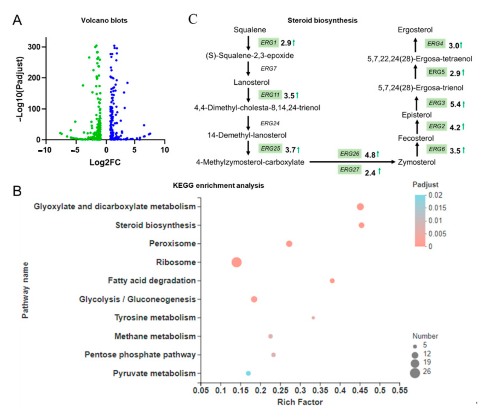 Microorganisms 09 00233 g002