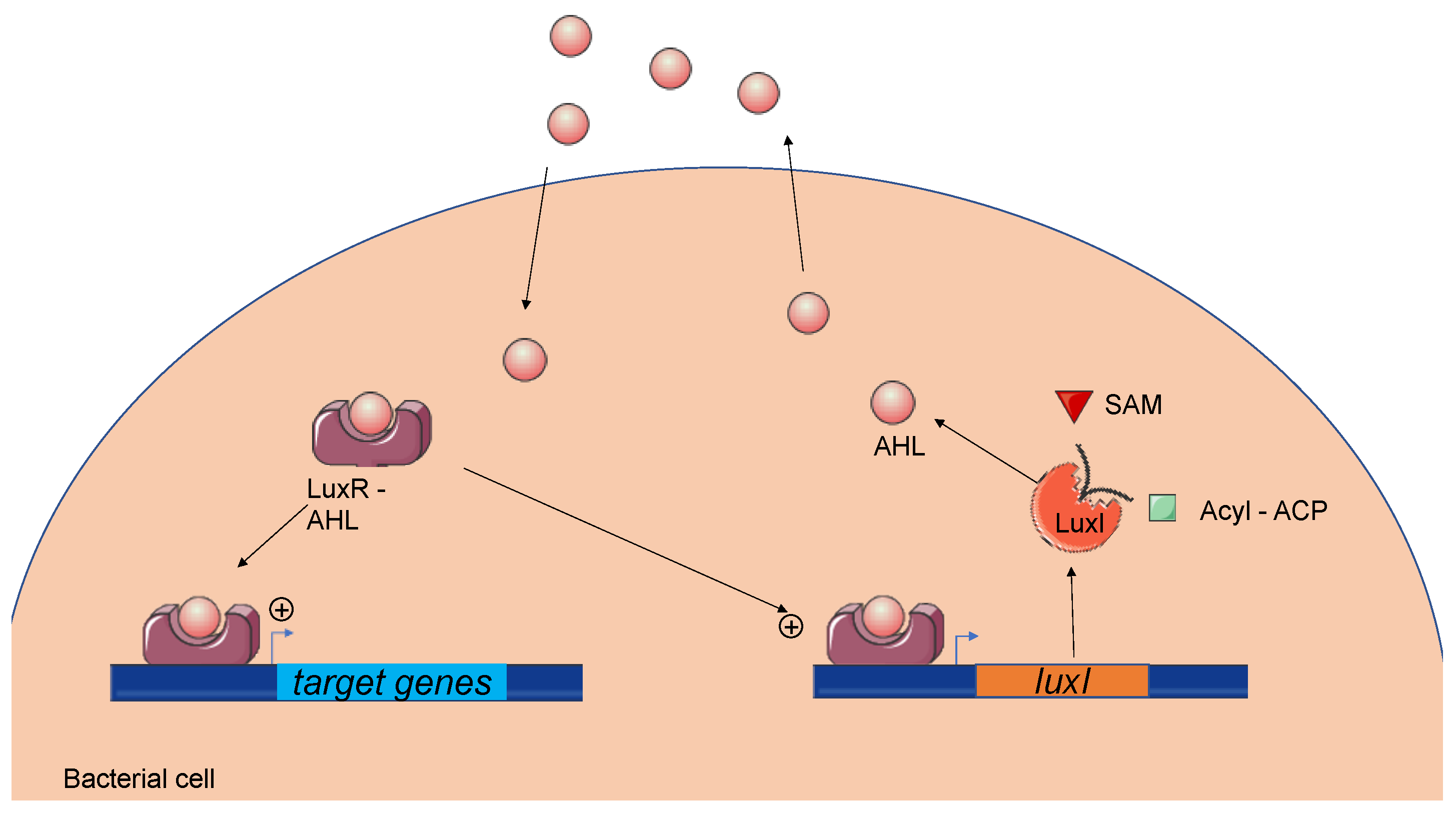 Microorganisms 09 00239 g002