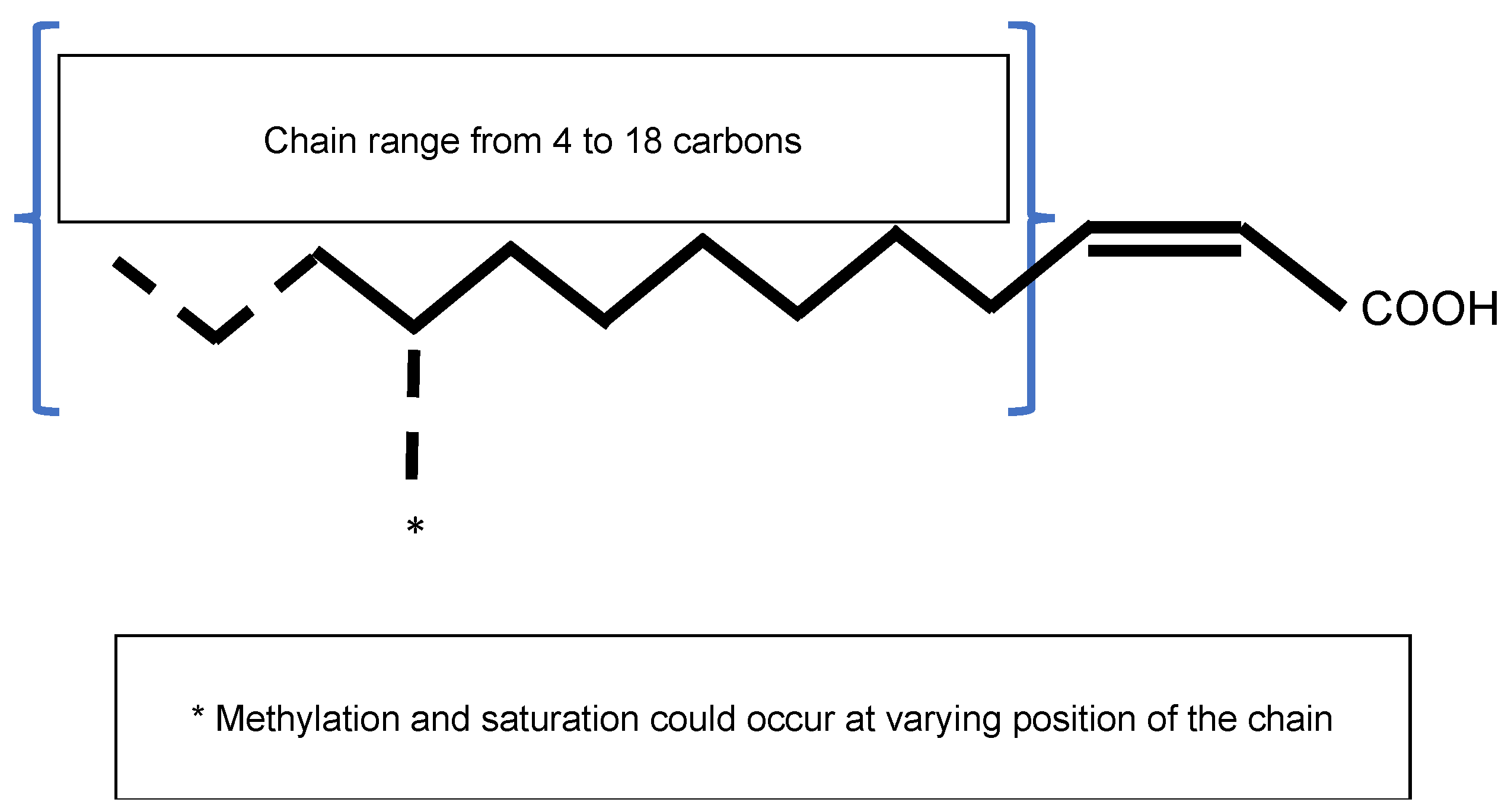 Microorganisms 09 00239 g003