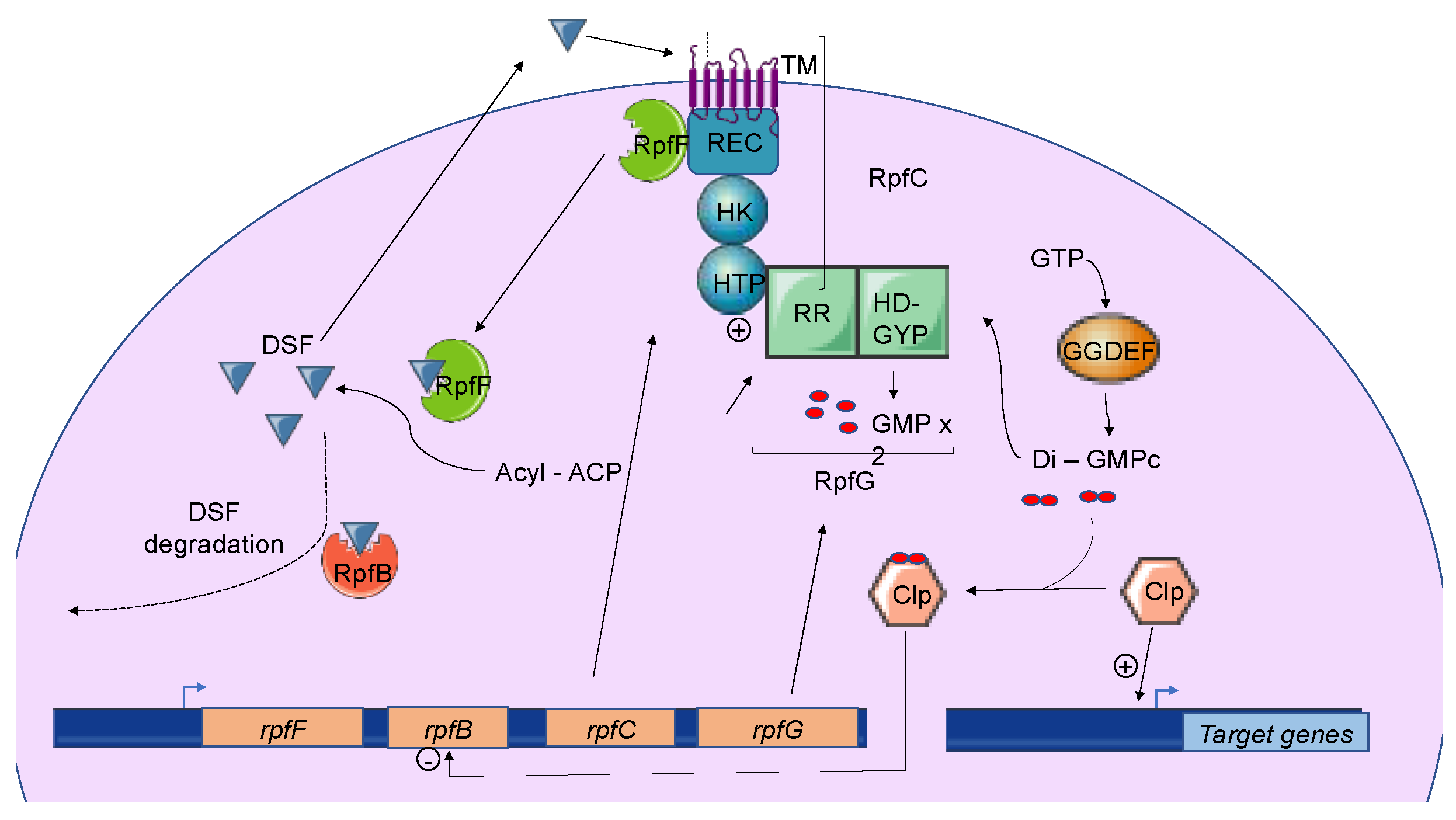 Microorganisms 09 00239 g004