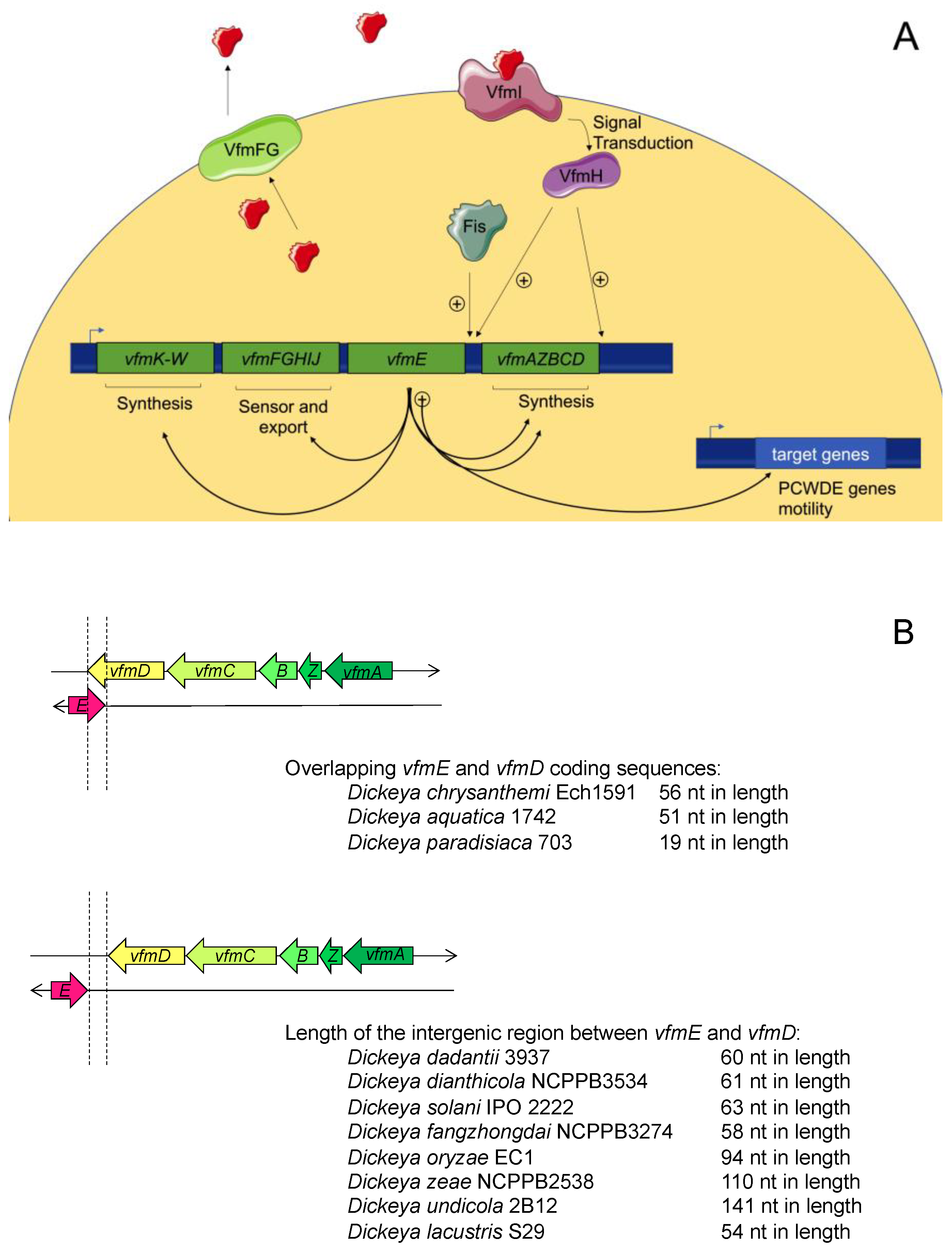 Microorganisms 09 00239 g005