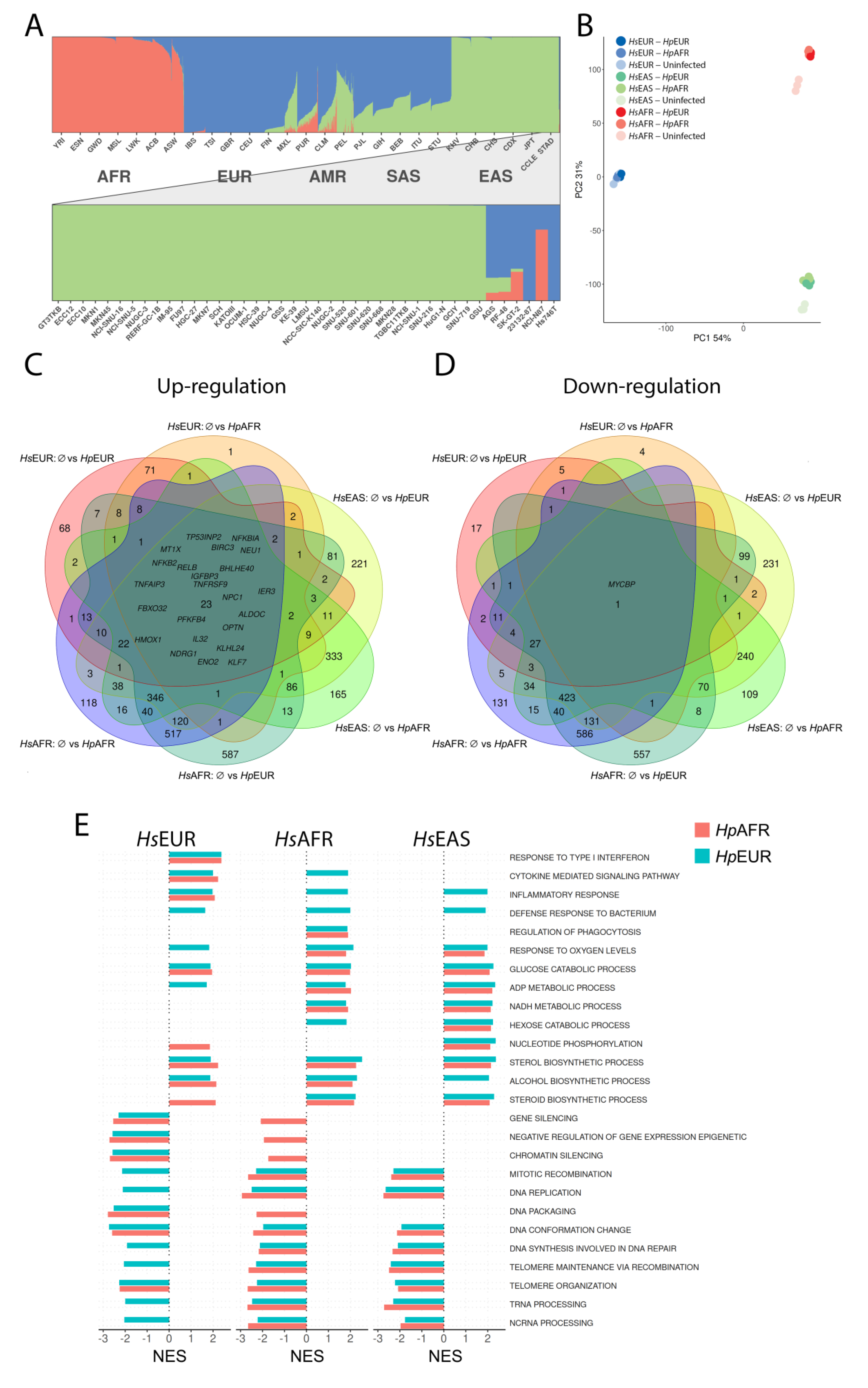 Microorganisms 09 00240 g001