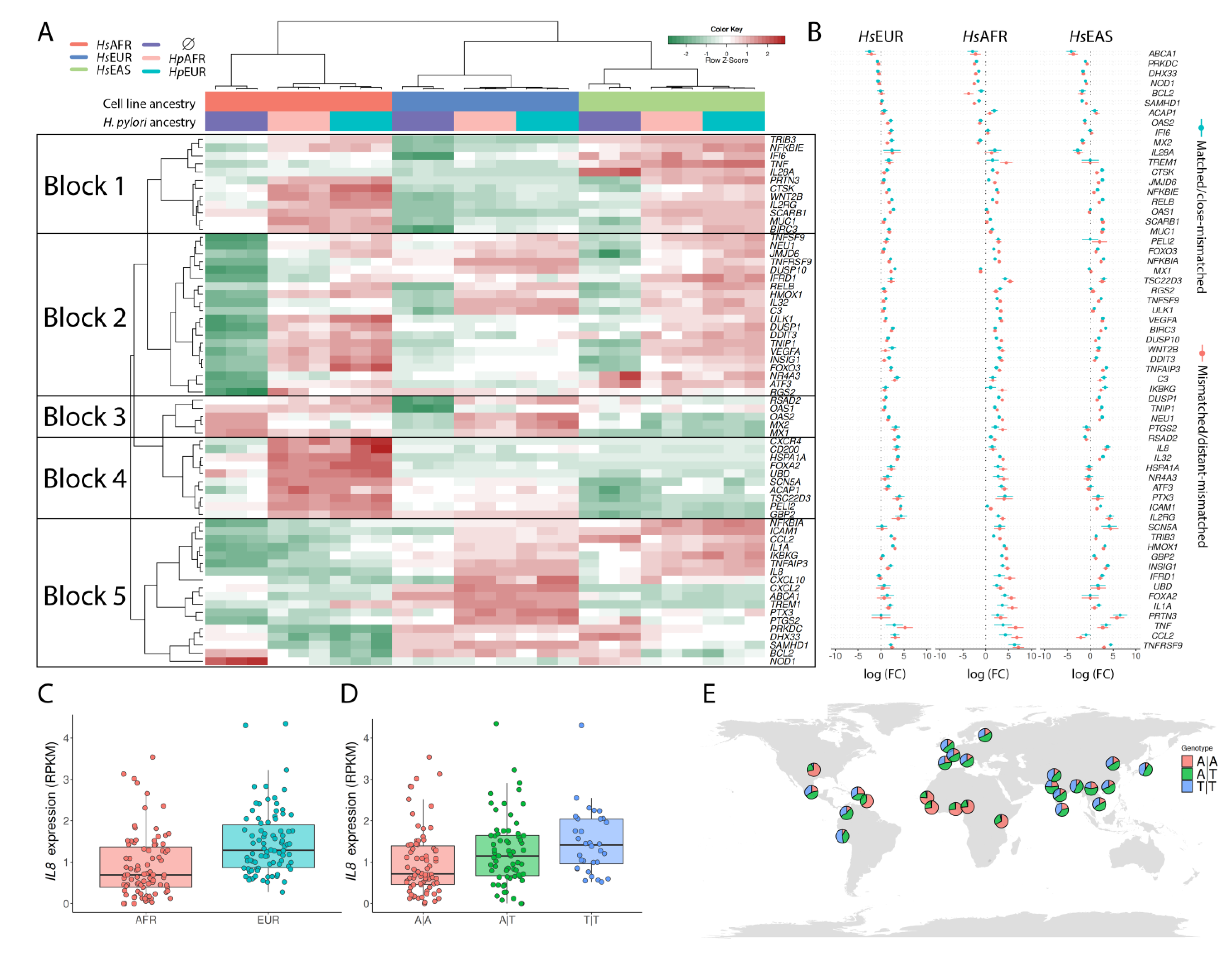 Microorganisms 09 00240 g002