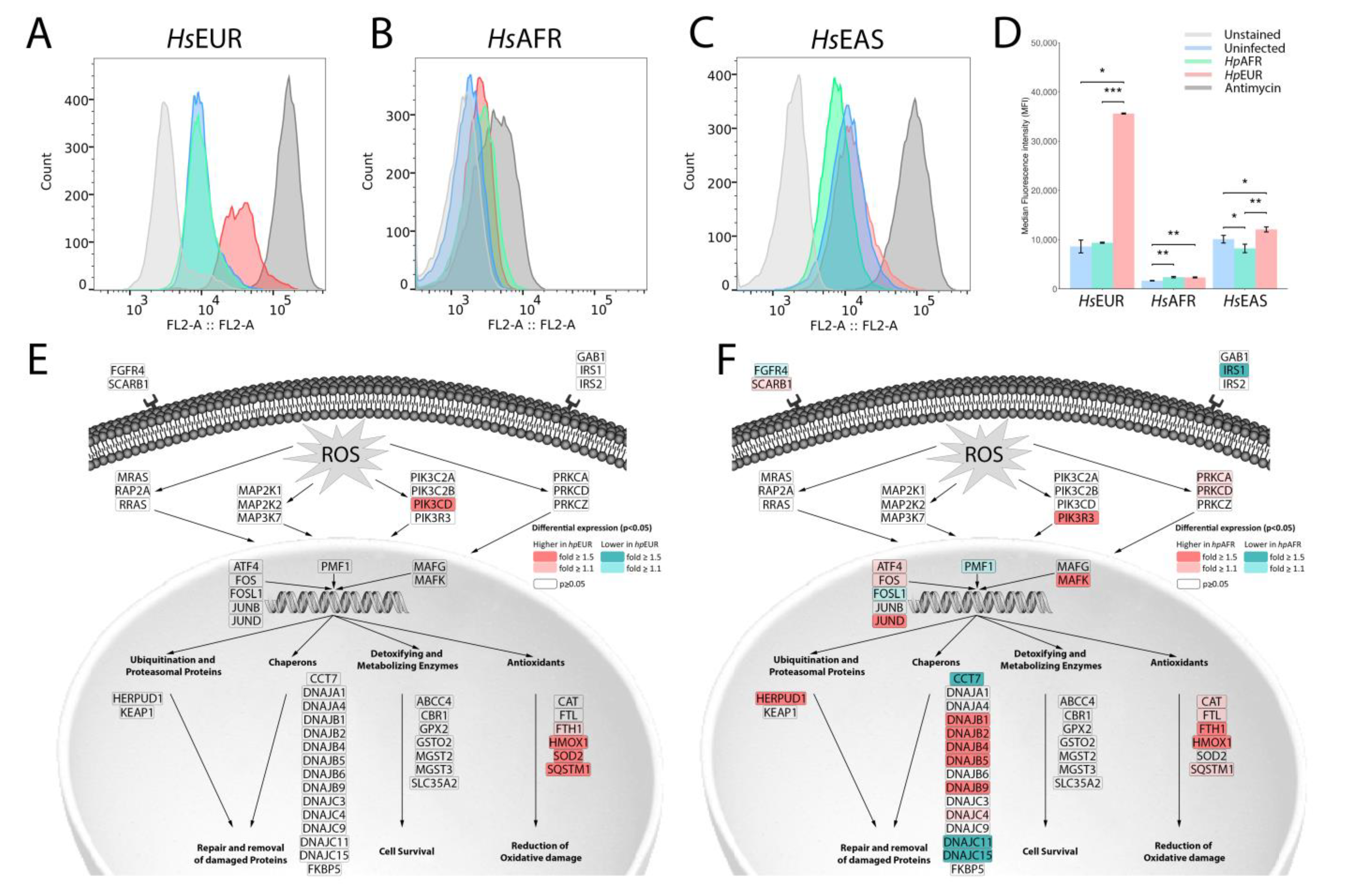 Microorganisms 09 00240 g004