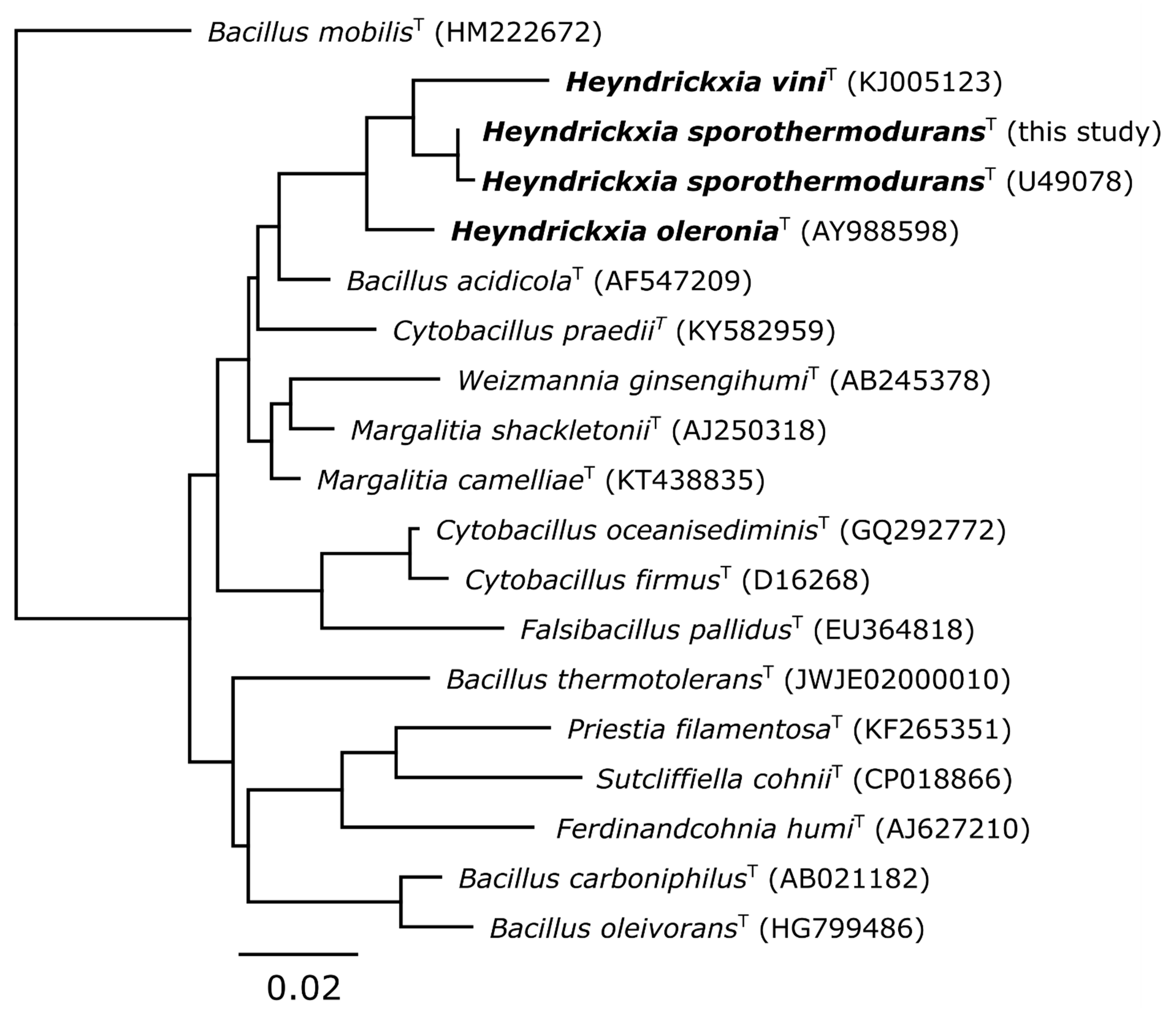 Microorganisms 09 00246 g001