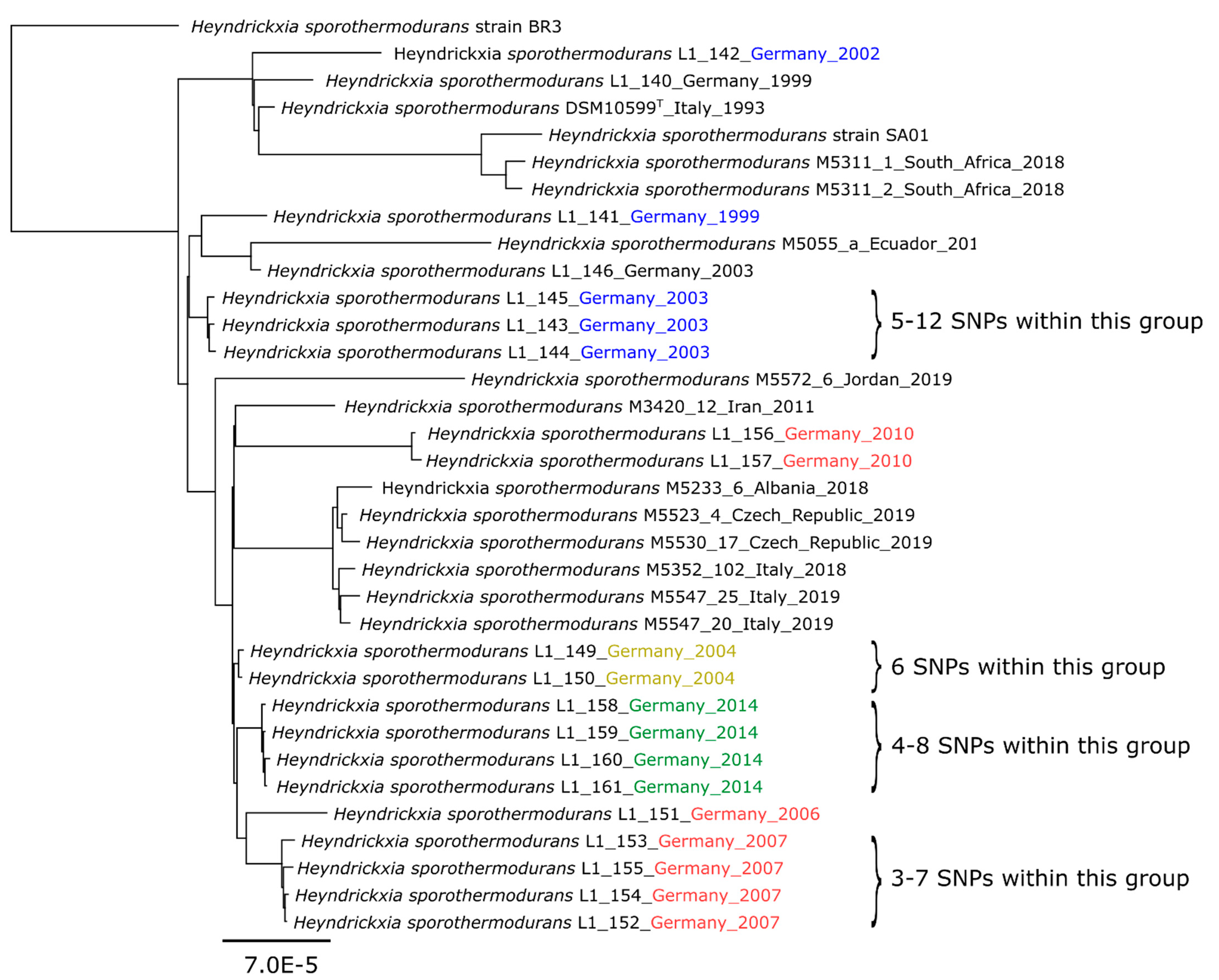 Microorganisms 09 00246 g004