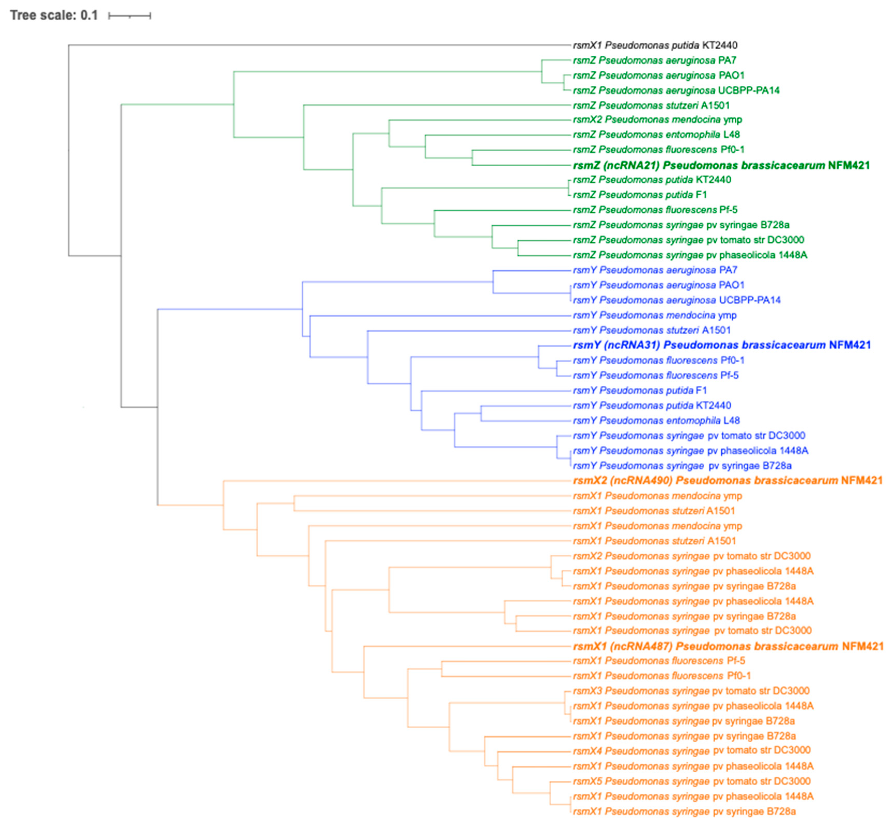Microorganisms 09 00250 g002