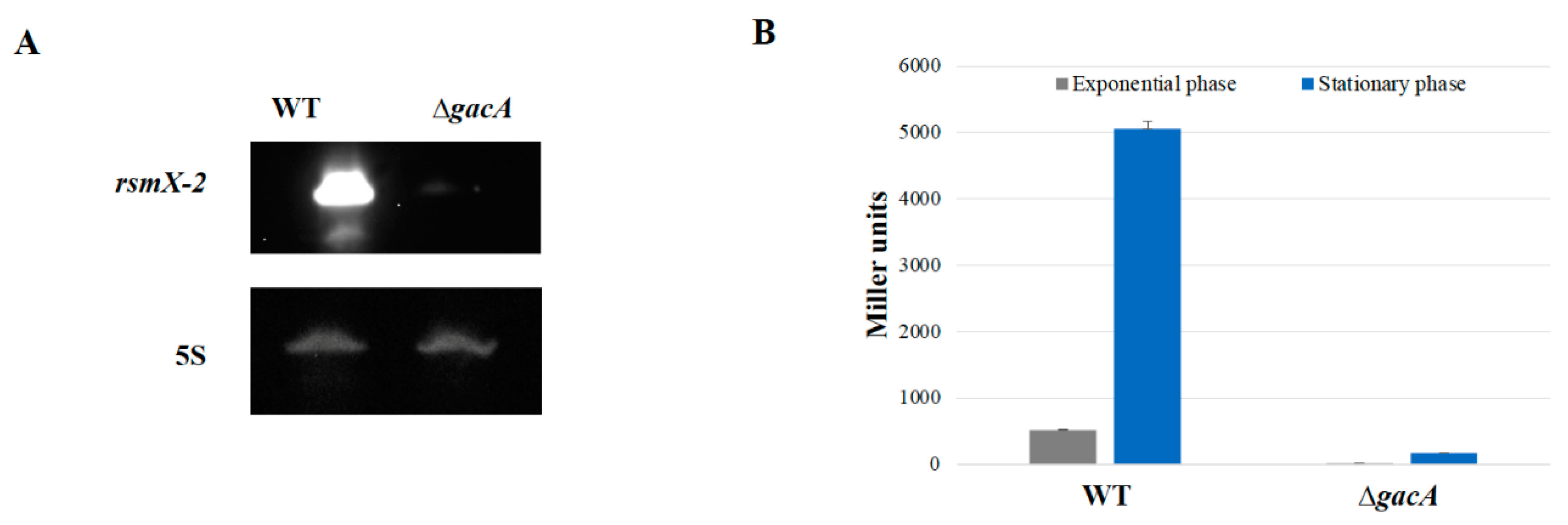 Microorganisms 09 00250 g003
