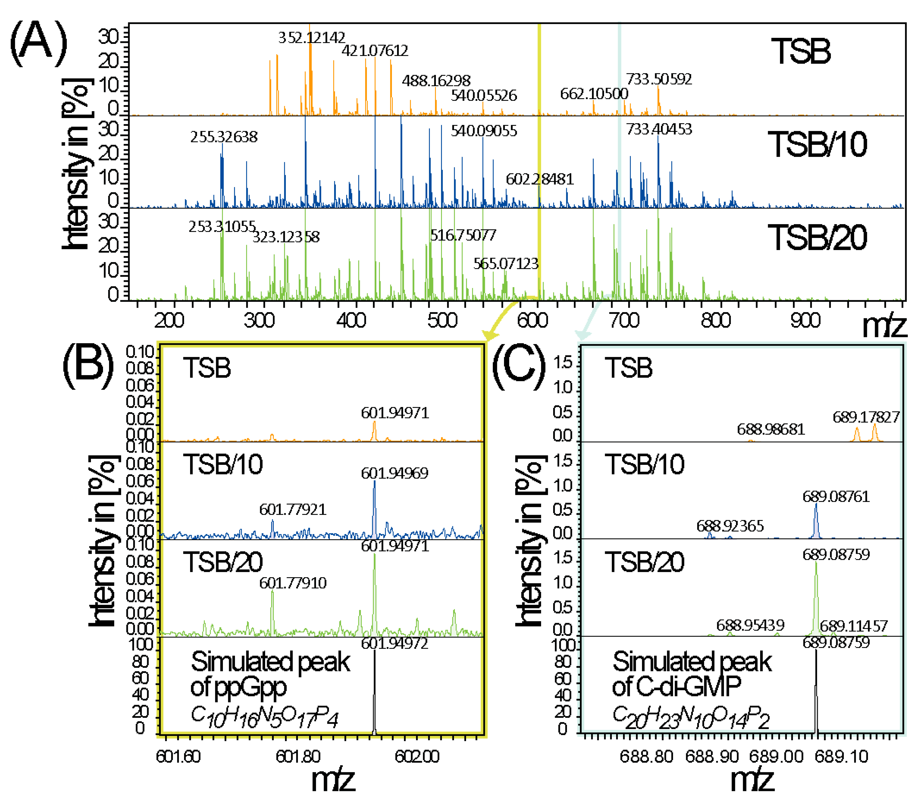 Microorganisms 09 00250 g006