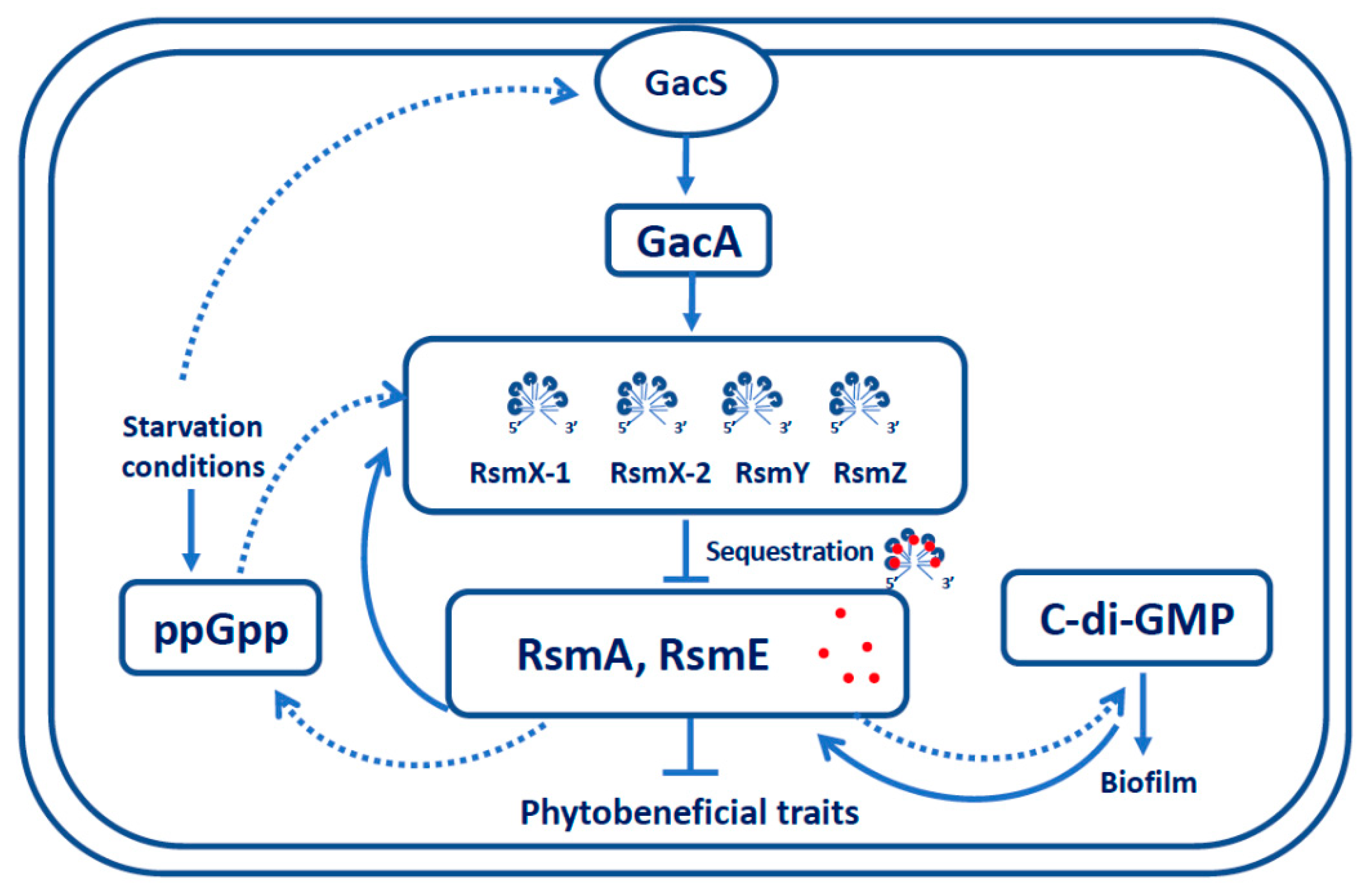 Microorganisms 09 00250 g007