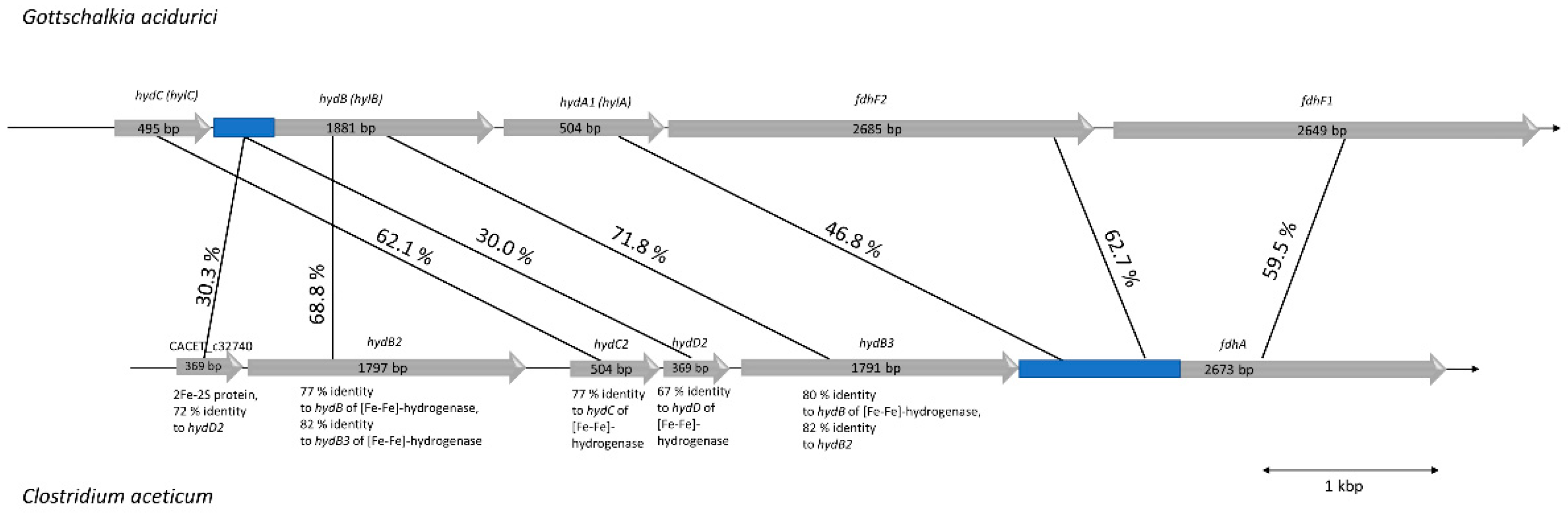 Microorganisms 09 00258 g007