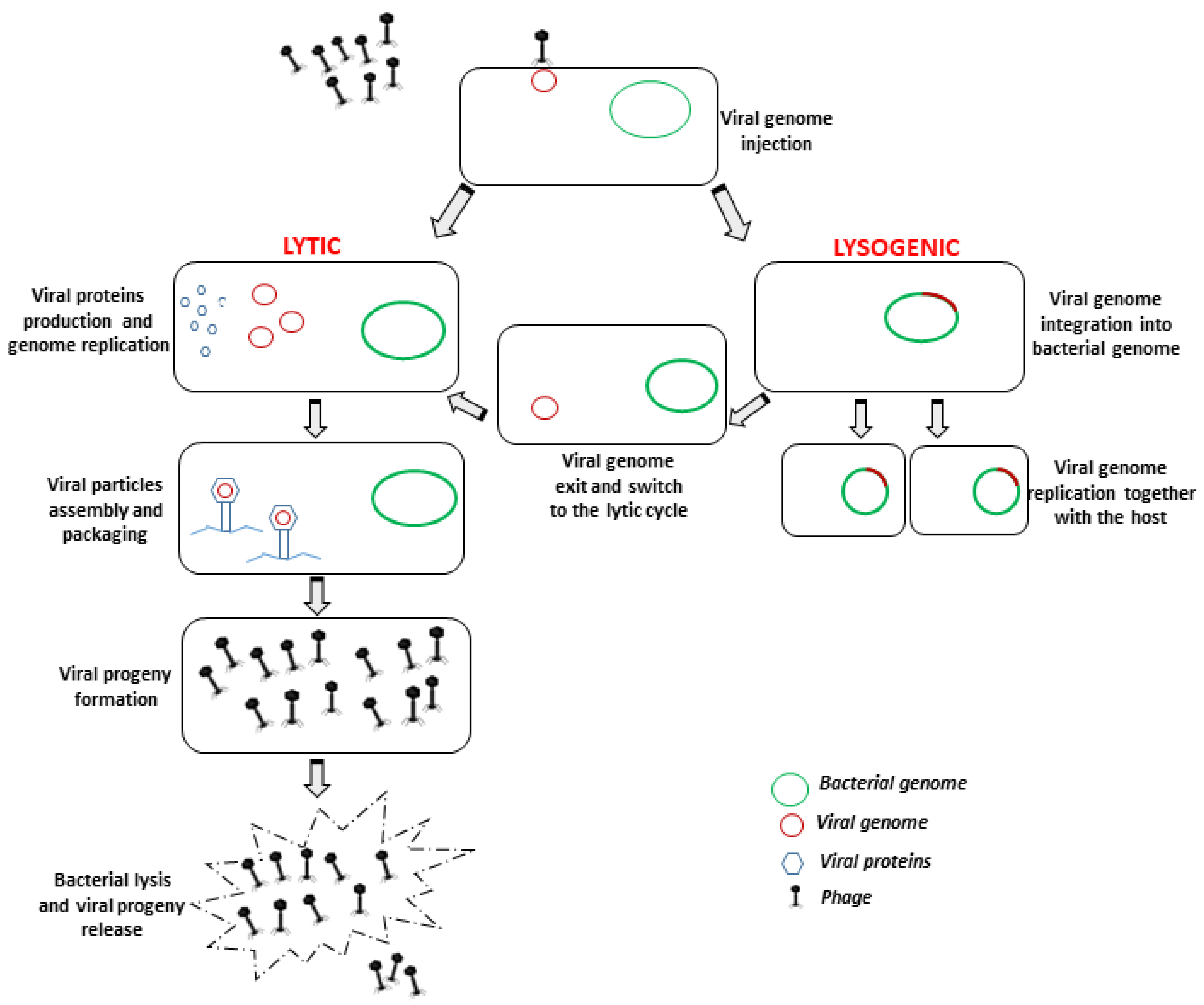 Microorganisms 09 00261 g001
