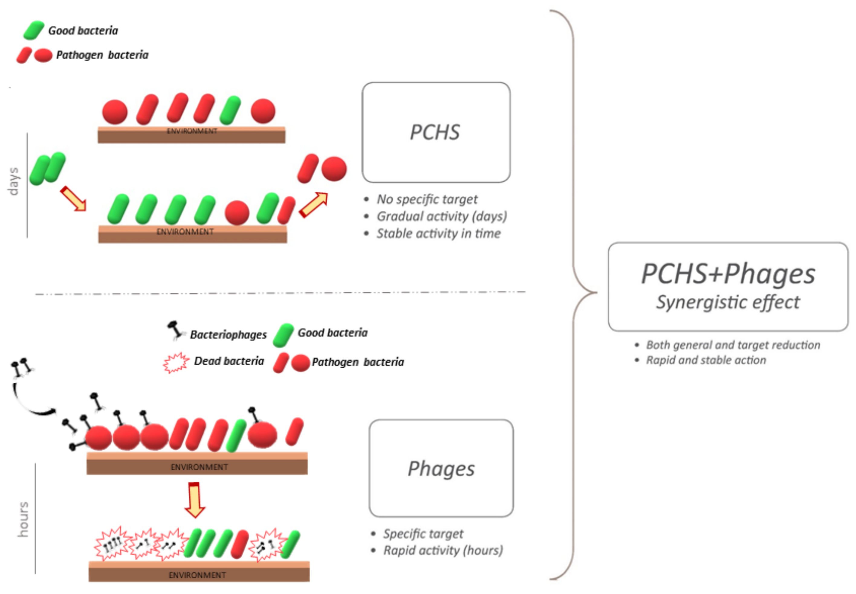 Microorganisms 09 00261 g002