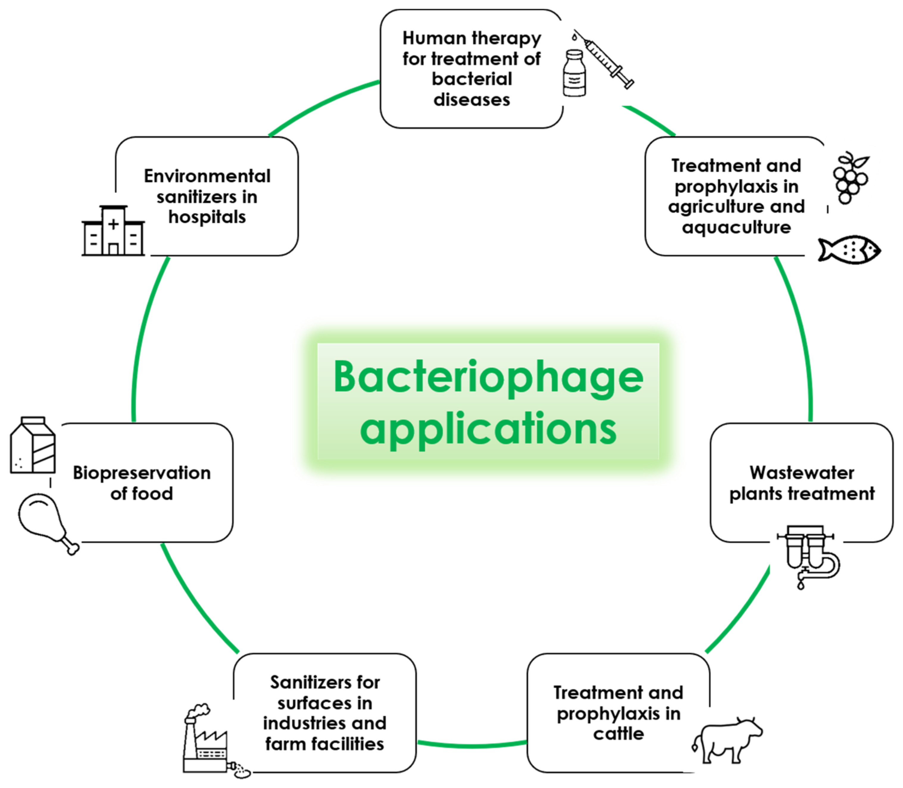 Microorganisms 09 00261 g003
