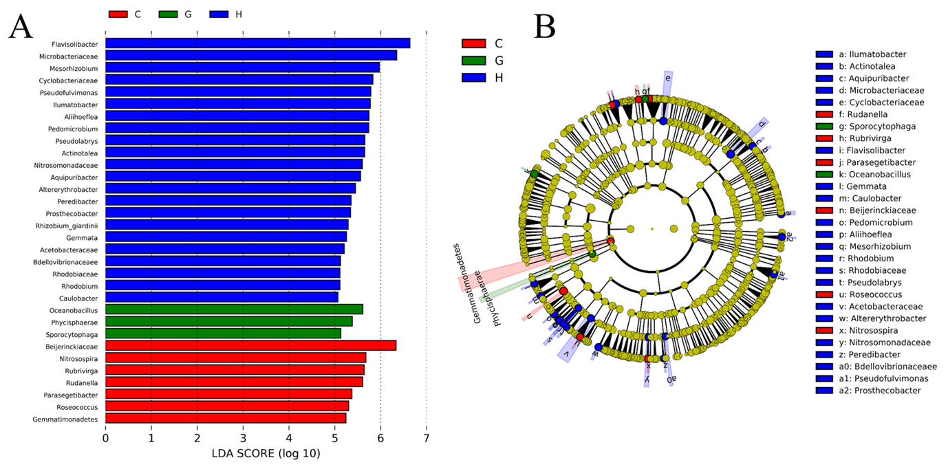 Microorganisms 09 00262 g007