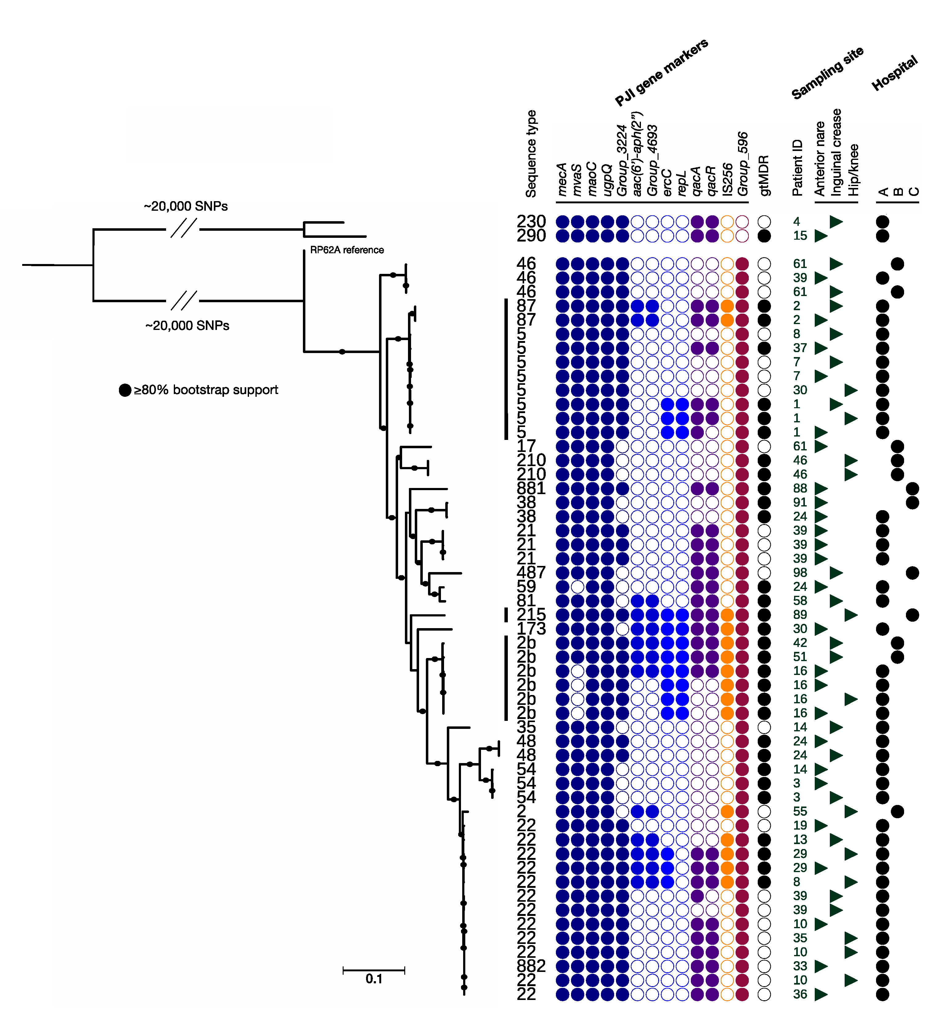 Microorganisms 09 00265 g002