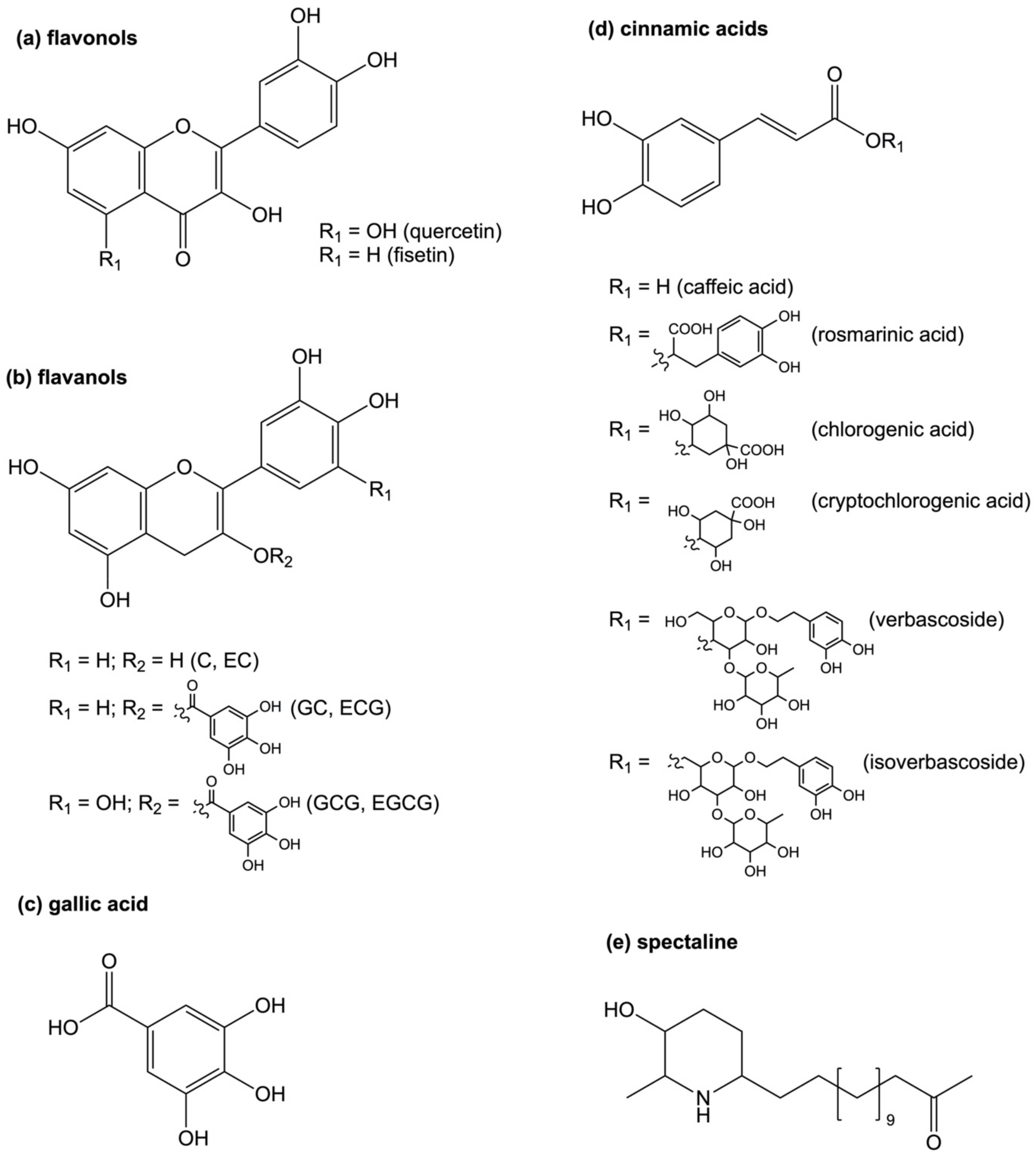 Microorganisms 09 00267 g001