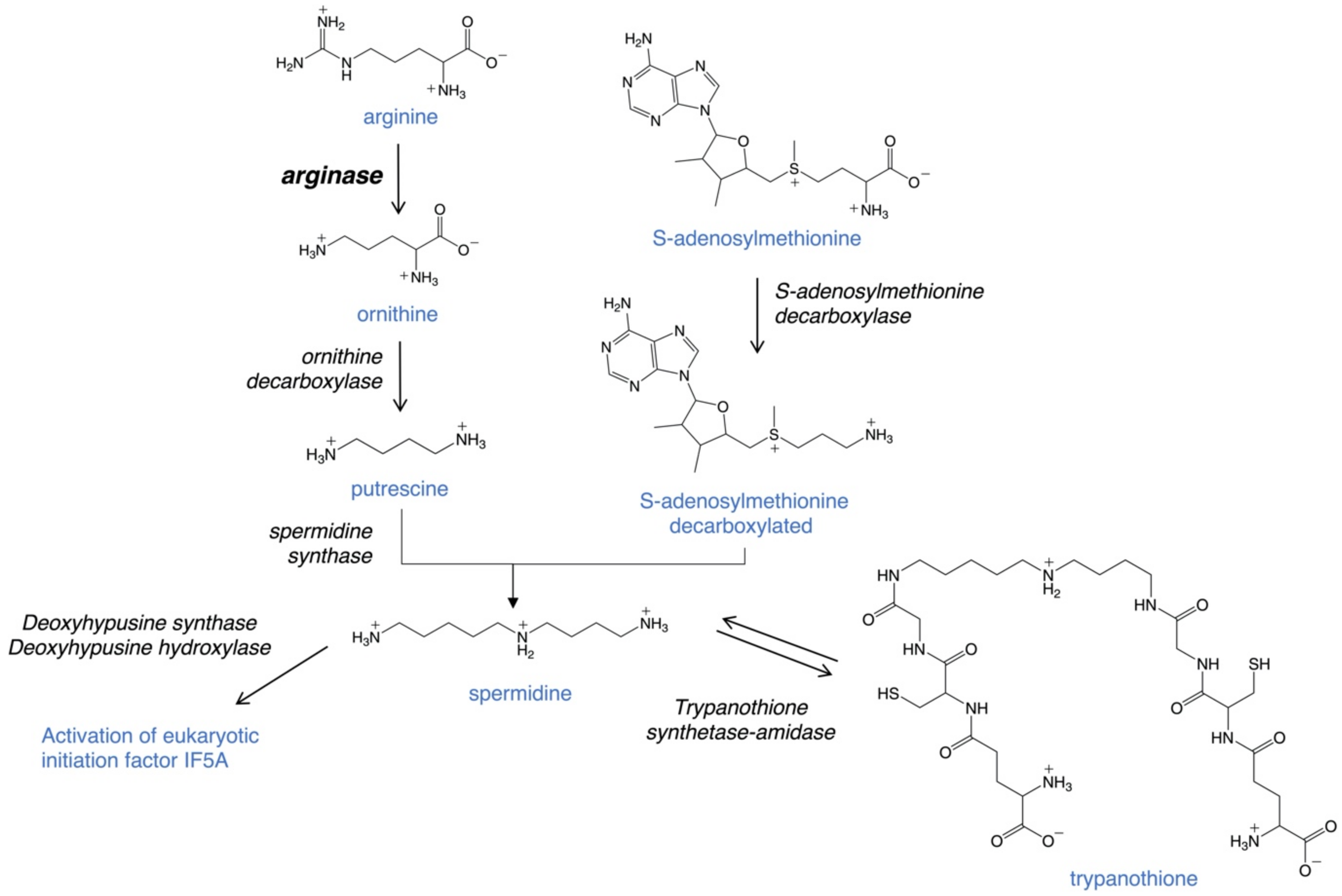 Microorganisms 09 00267 g002