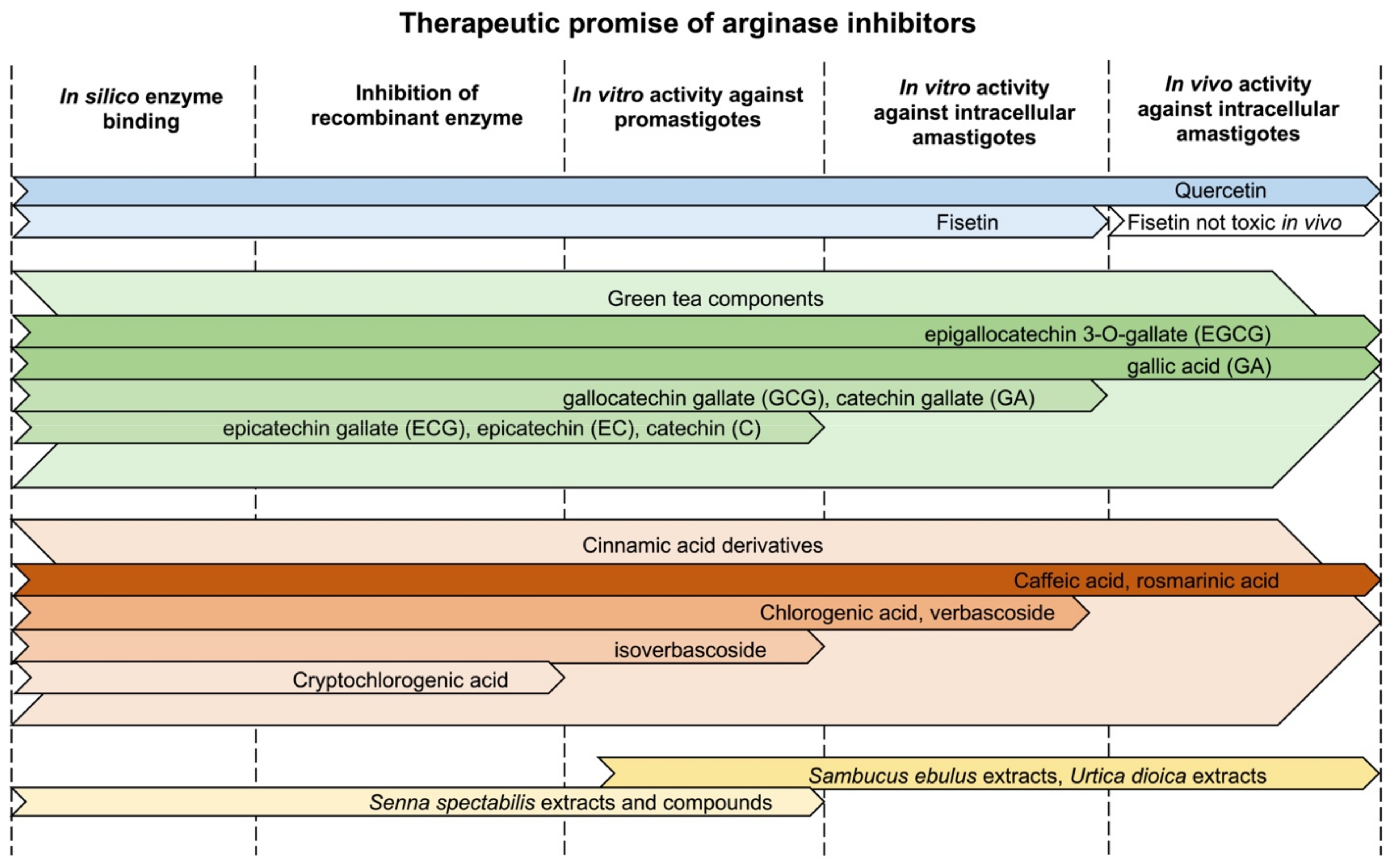 Microorganisms 09 00267 g005