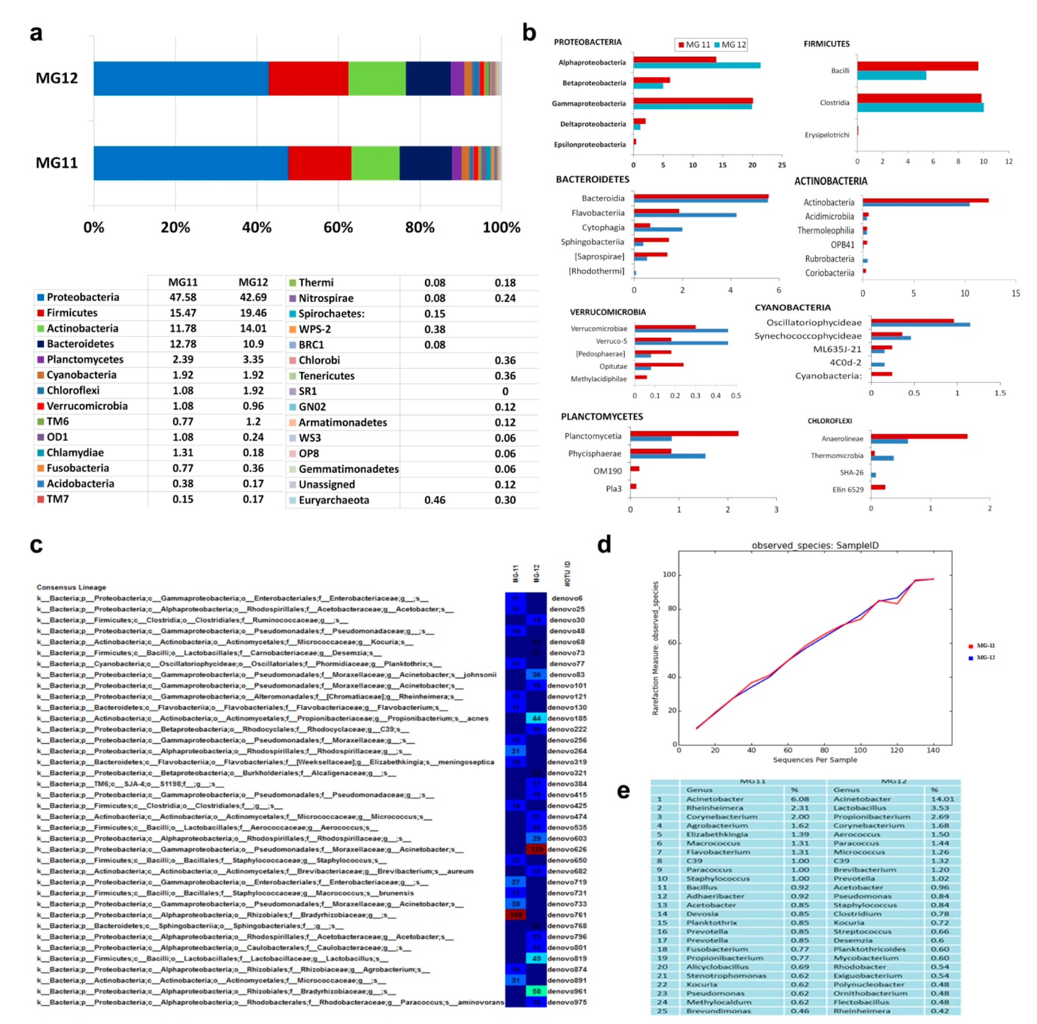 Microorganisms 09 00269 g008