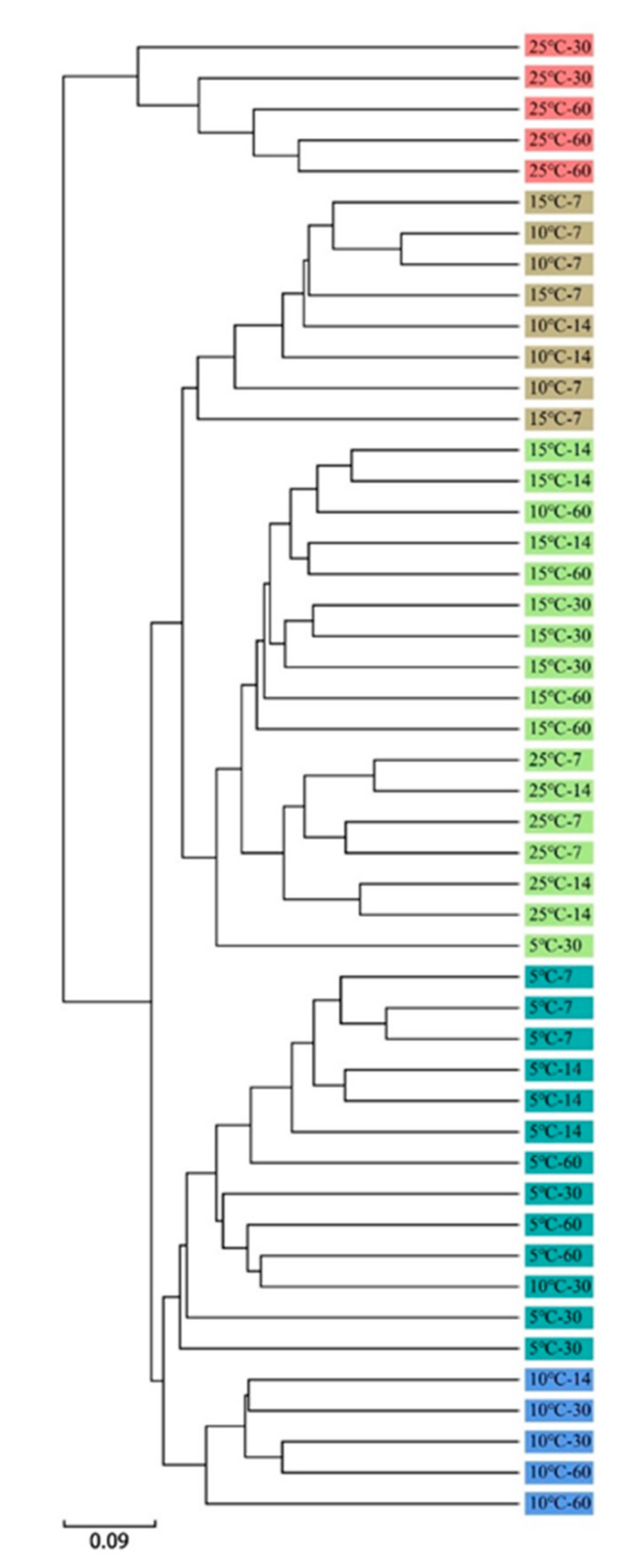 Microorganisms 09 00274 g005