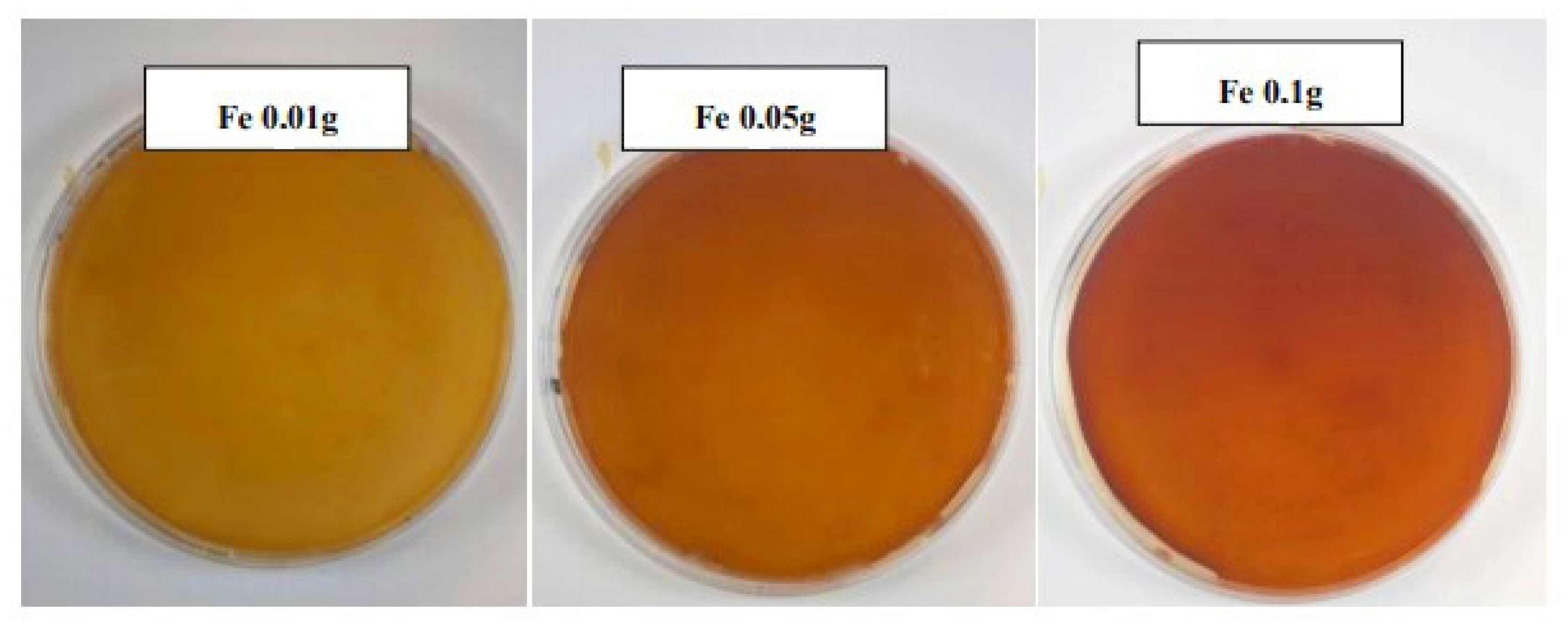Microorganisms 09 00277 g001