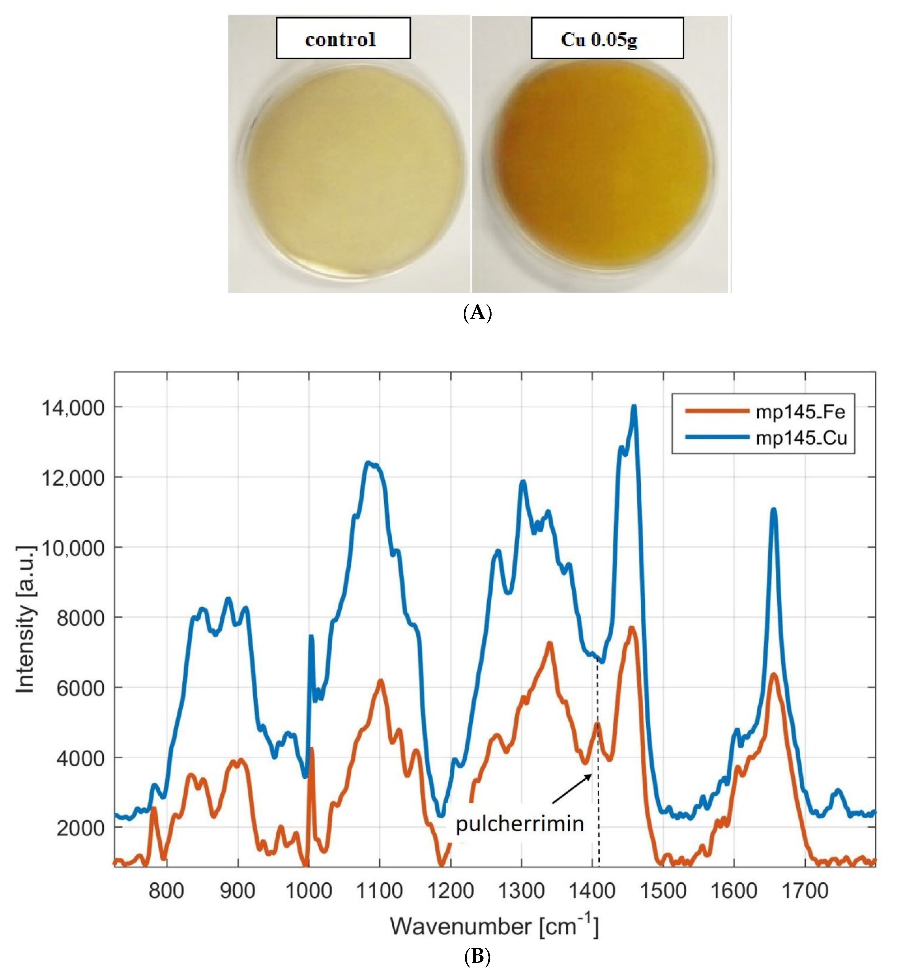 Microorganisms 09 00277 g004