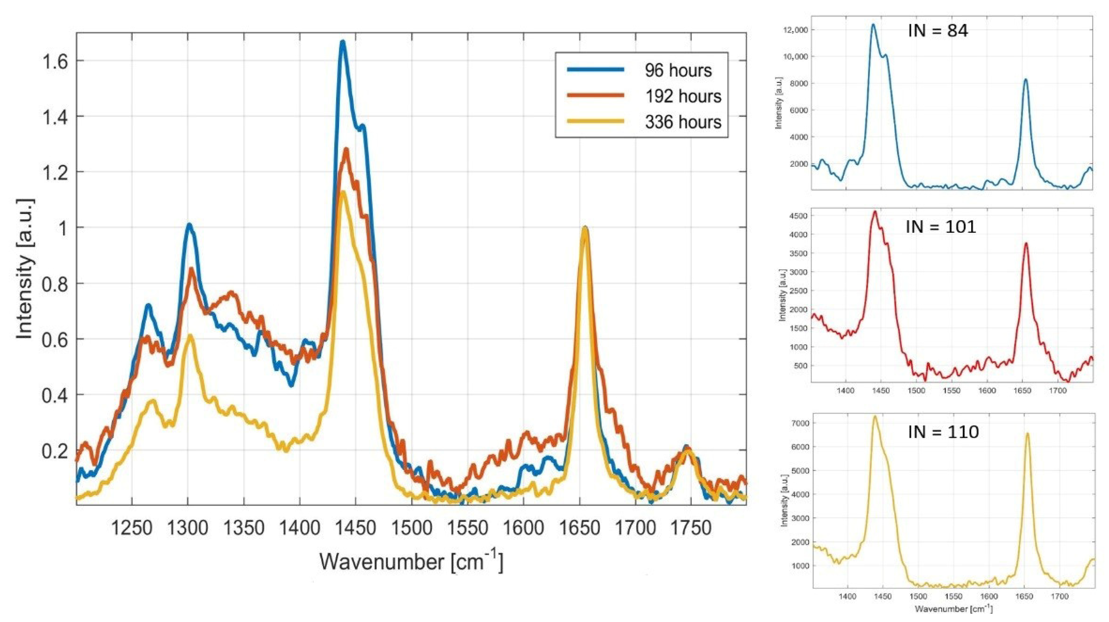 Microorganisms 09 00277 g007