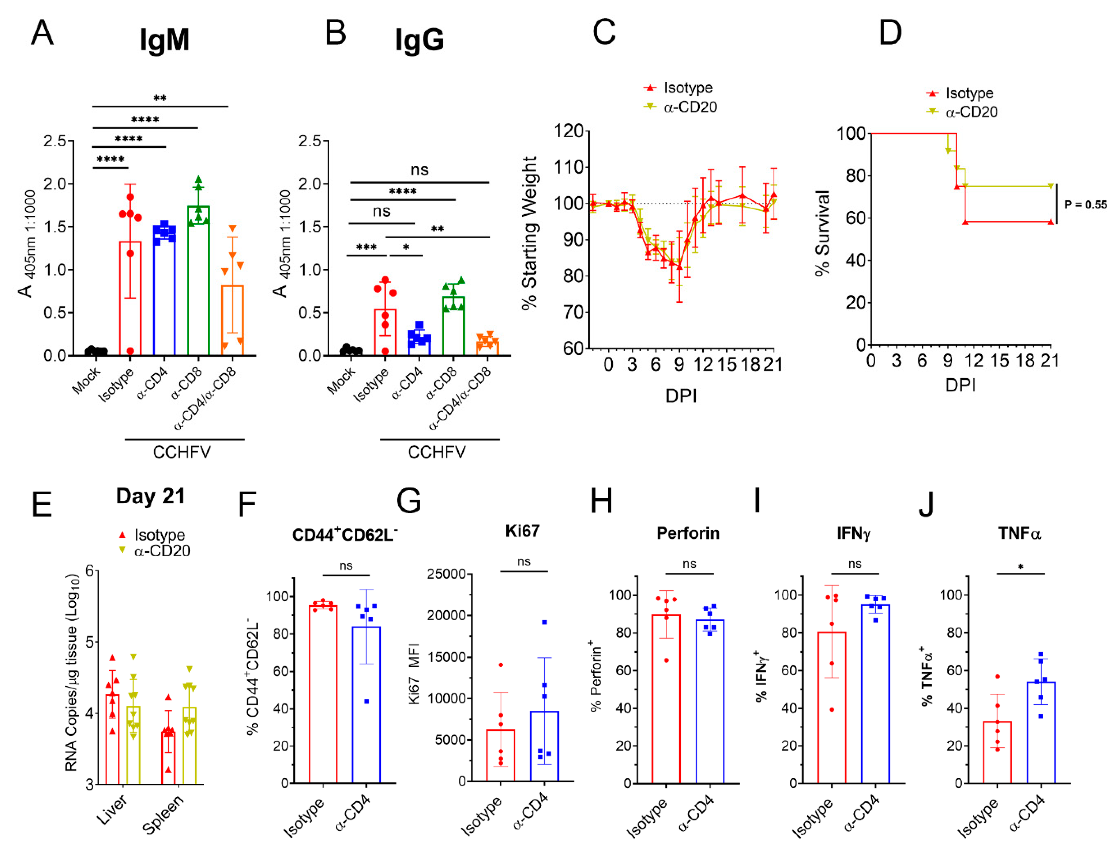 Microorganisms 09 00279 g005